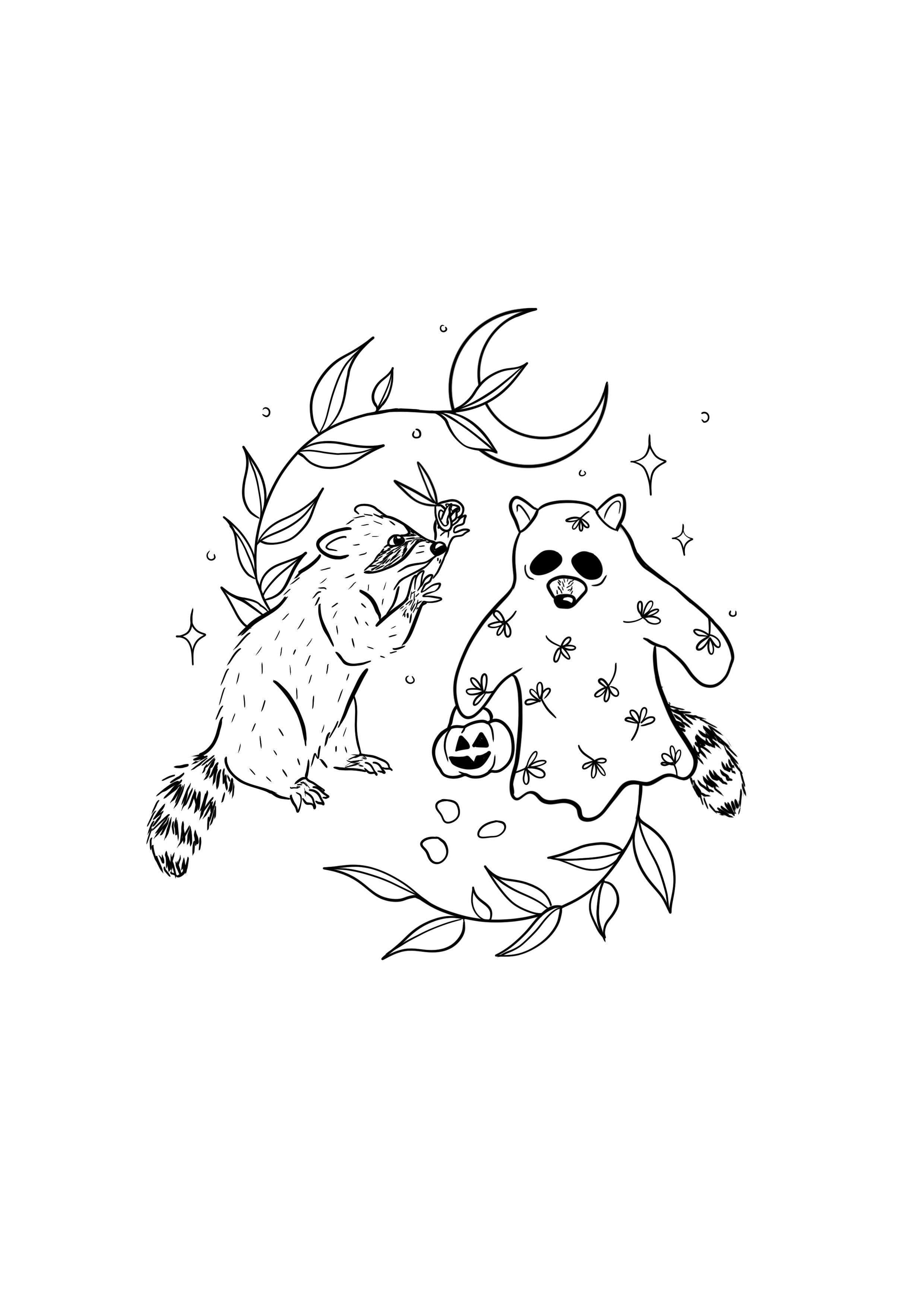 Raccoon Trick or Treat