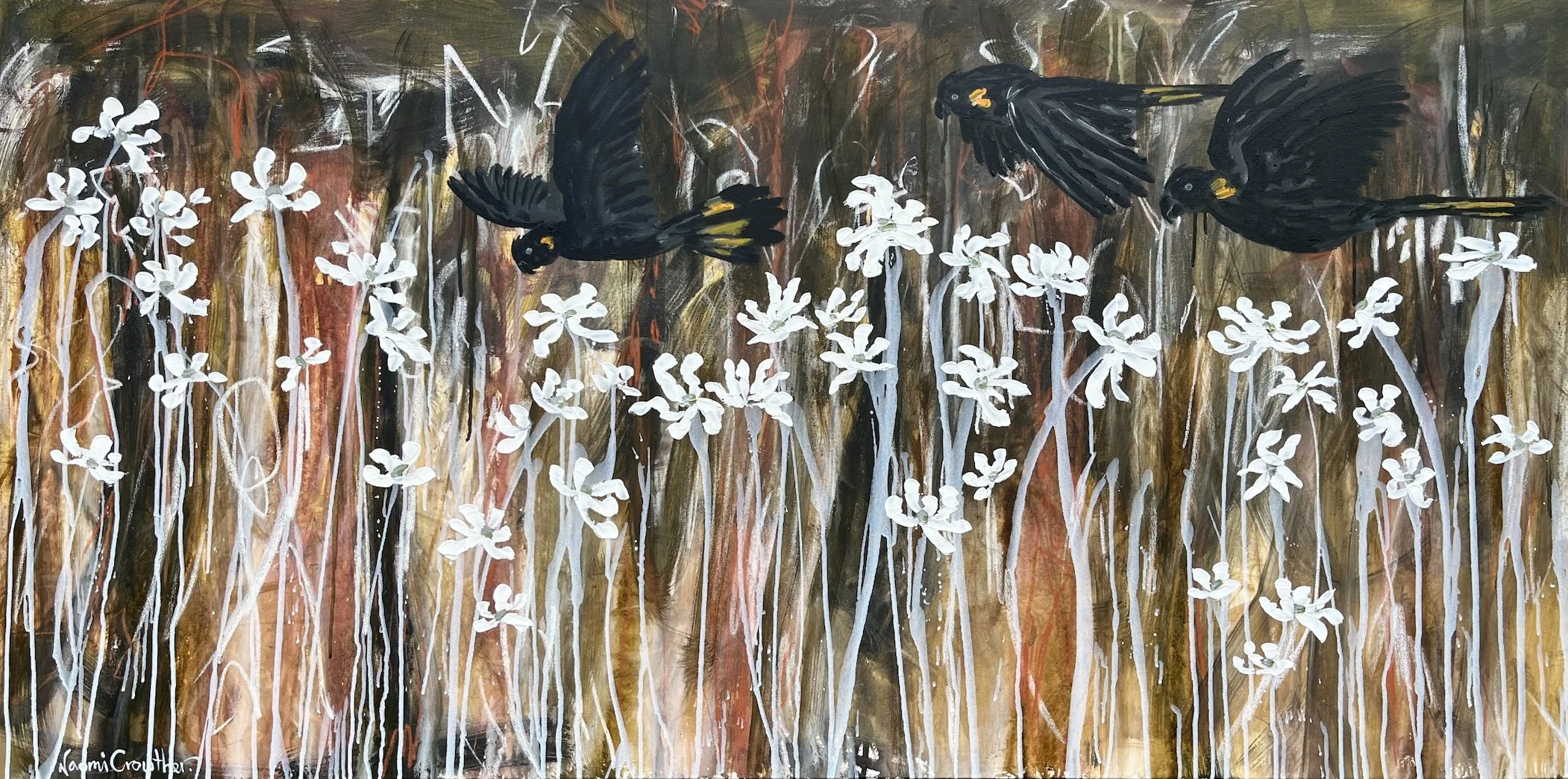 Black_Cockatoos_Homeward_Bound_Naomi_Crowther.jpg