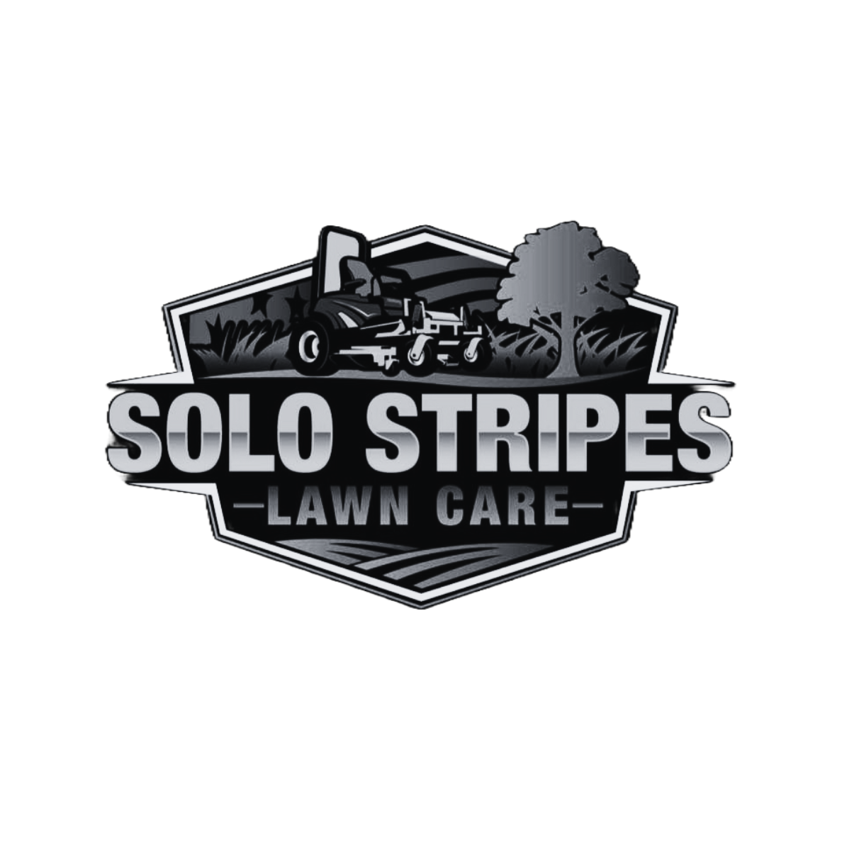SOLO LOGO.png