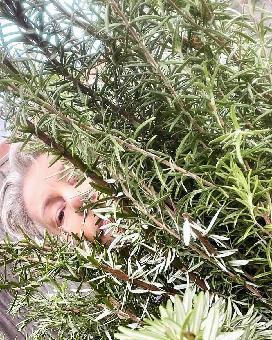 It&rsquo;s the little things at Life Rites that make us stand out in our level of care and commitment. Vicki spent her Sunday collecting rosemary from the Inner West community, to help send off a much loved elder. Many conversations were had along th