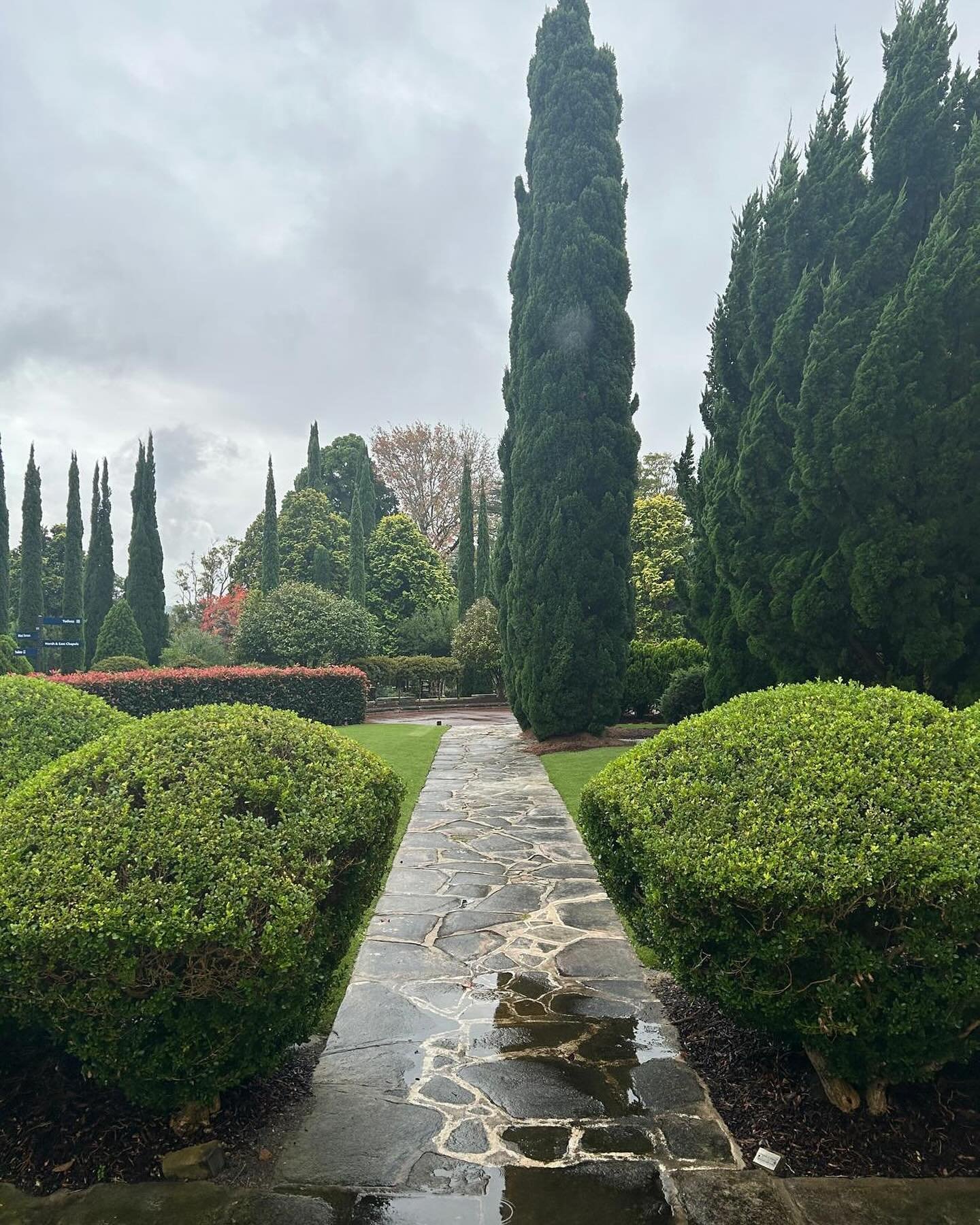 Intimate family funeral on a rainy Friday at Northern Suburbs Crematorium, one of the most established garden crematoriums in Sydney. 💚☔️🍂