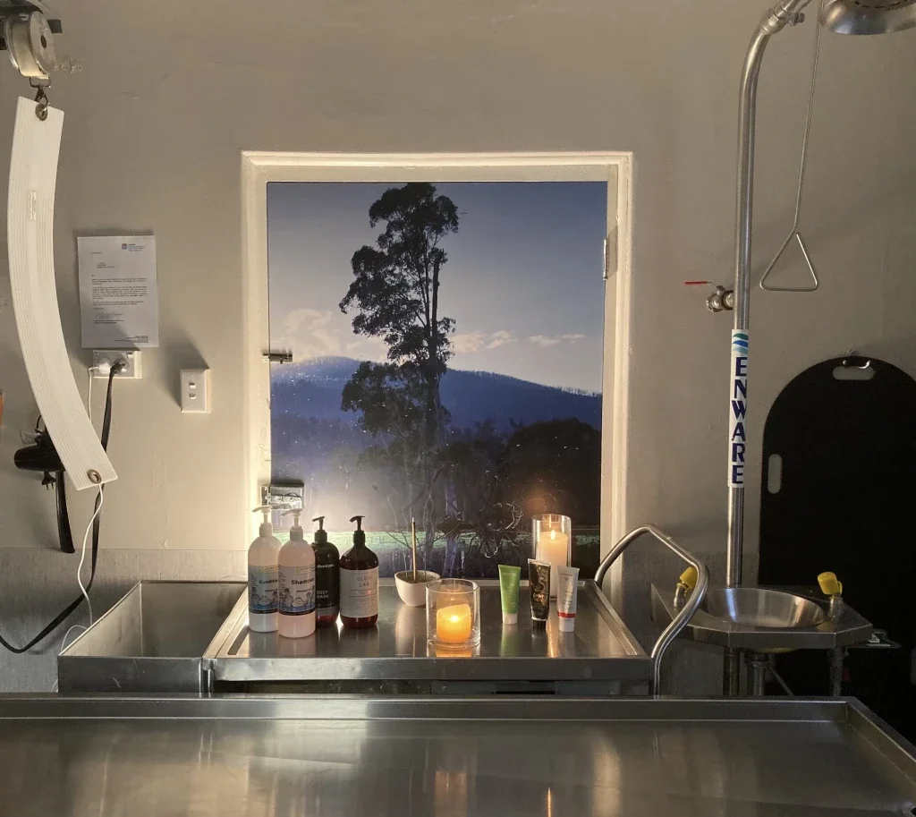 Missives from the Mortuary | Transgender Awareness Week