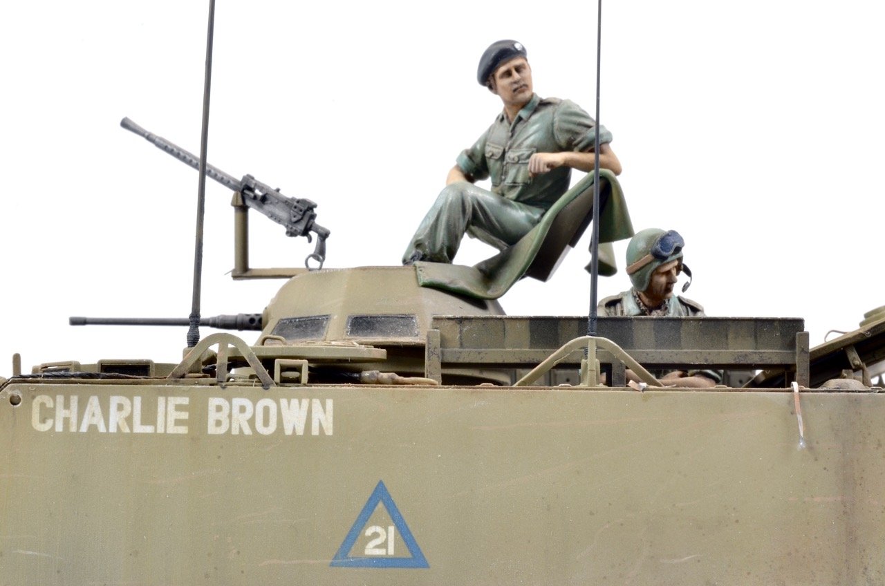 Charlie Brown Aussie M113.jpeg
