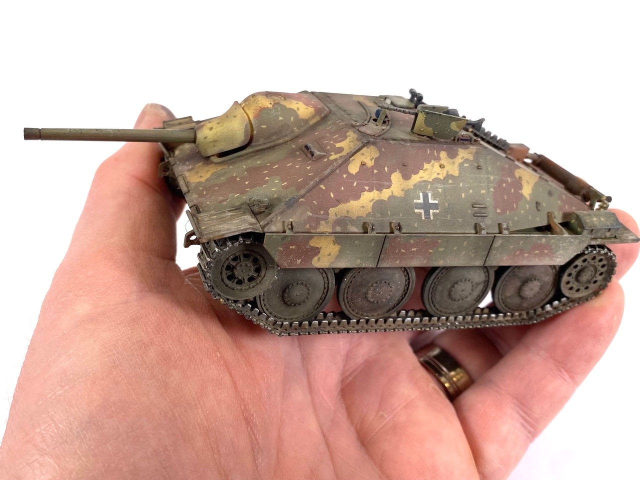 a hetzer in the hand.jpeg