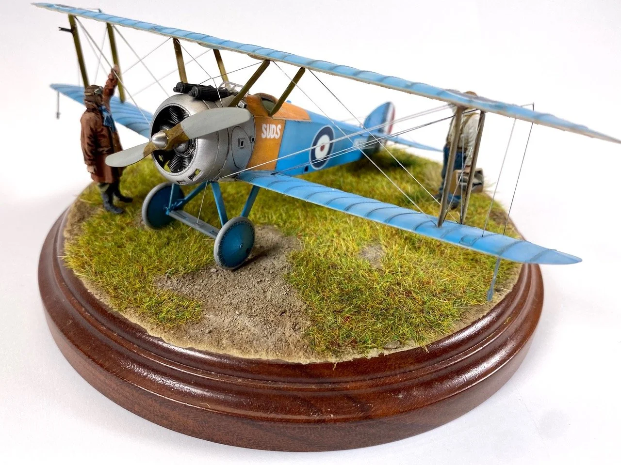 Sopwith Camel - Eduard 1/48 - Showcase