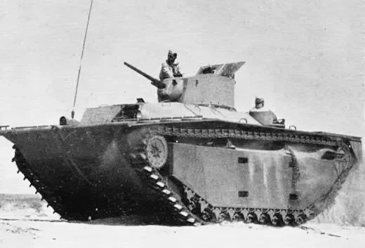 aligator img_5325.webp