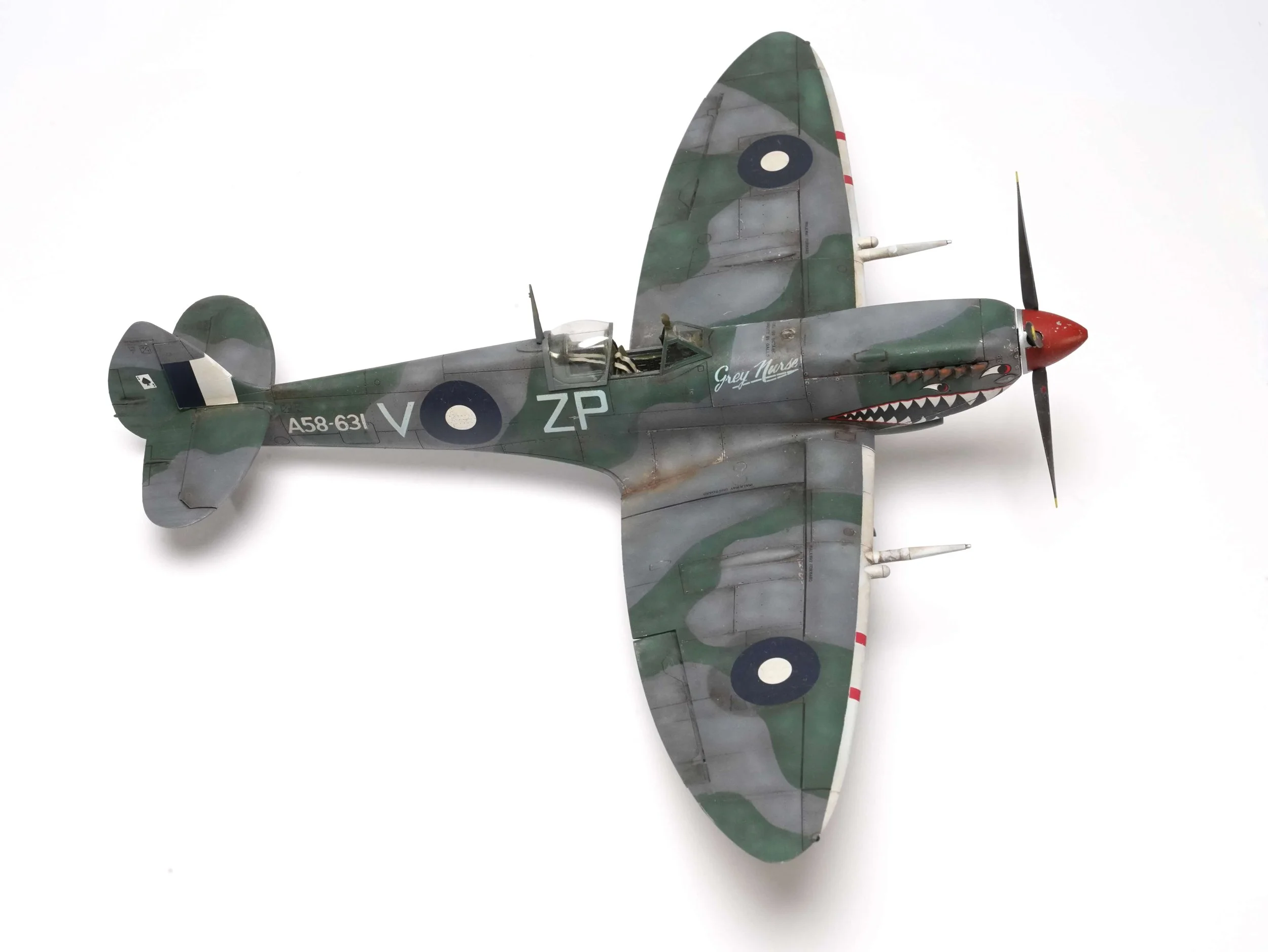 Grey Nurse Spitfire.JPG