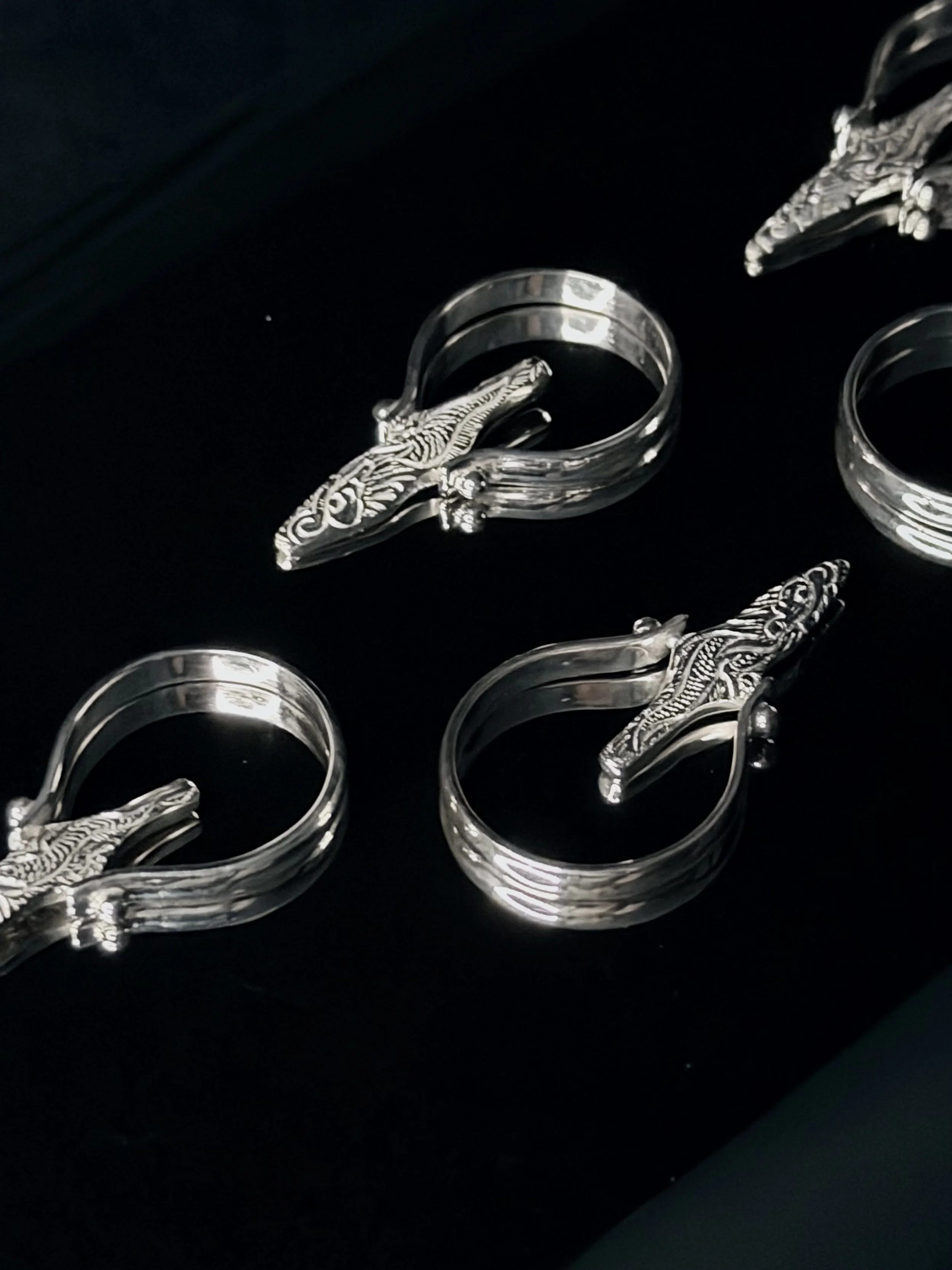 Photo Nov 26 2025, 15 33 24.jpg