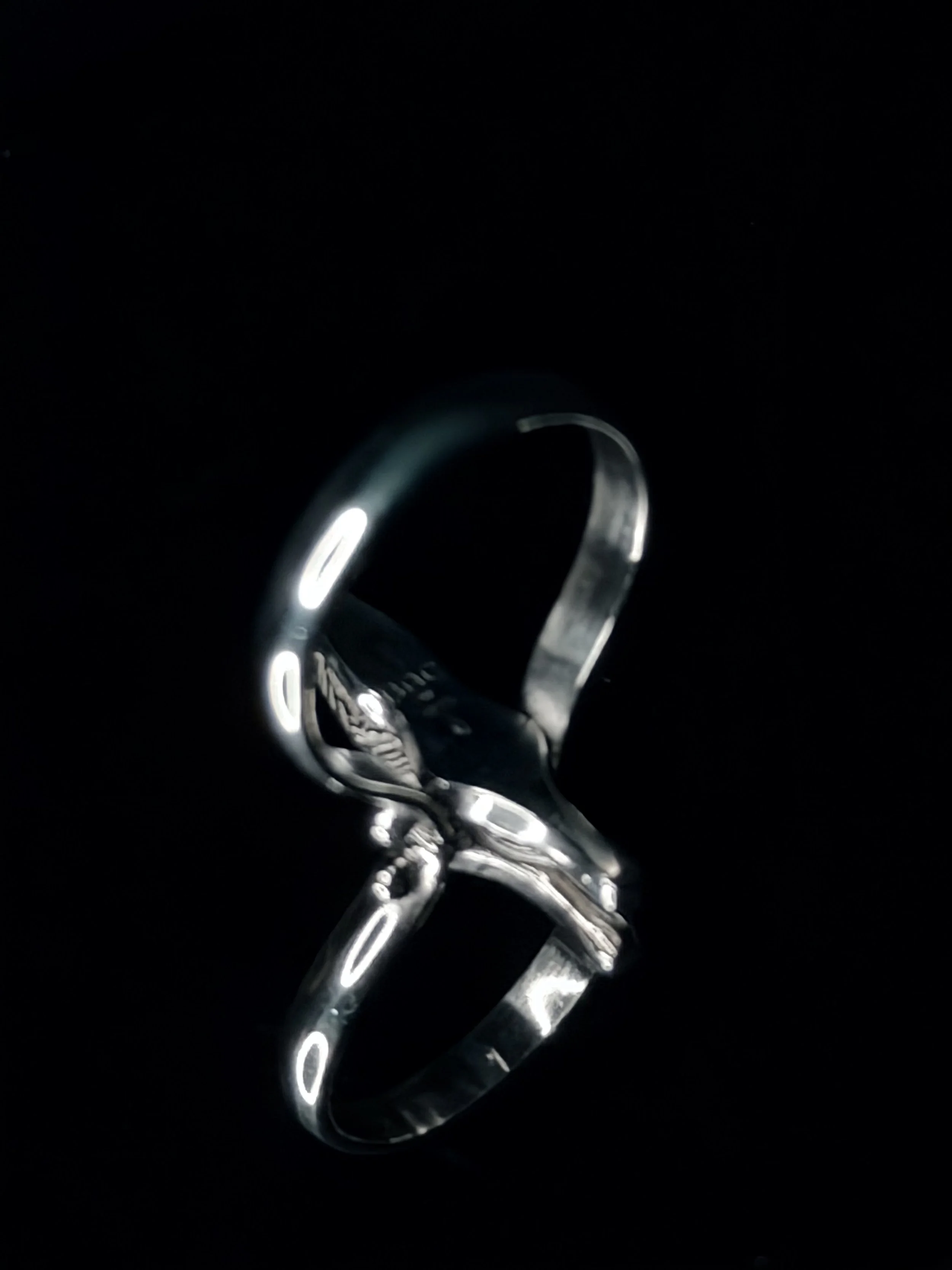 Photo Nov 26 2025, 15 37 29.jpg