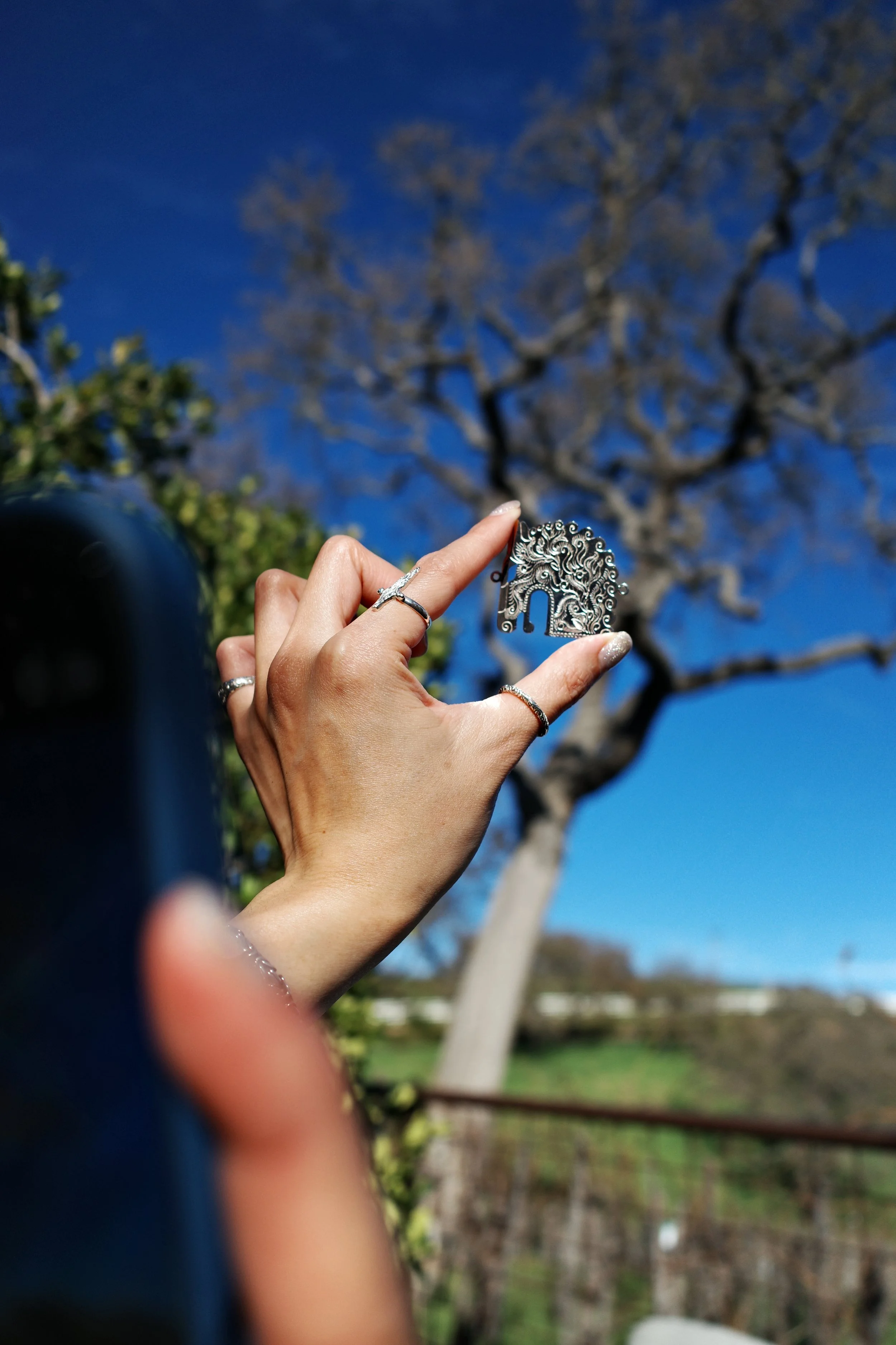 Photo Jan 18 2026, 18 07 02.jpg