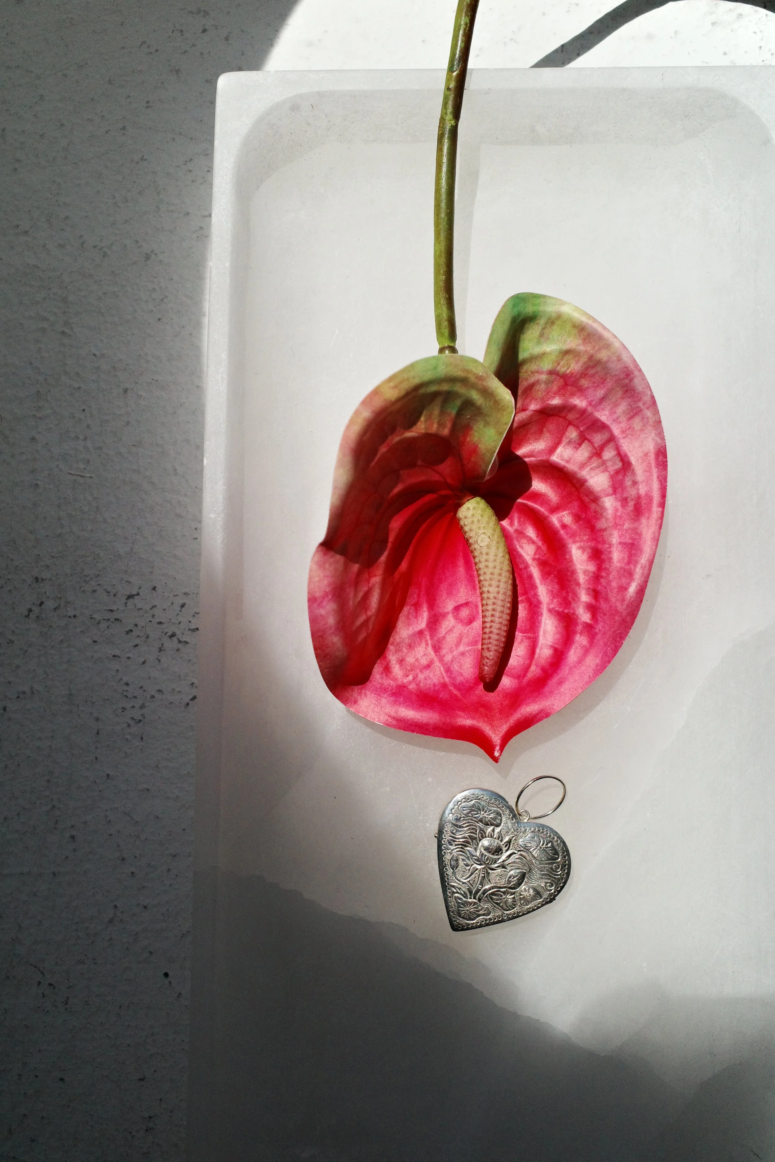 Photo Apr 15 2026, 15 06 24.jpg