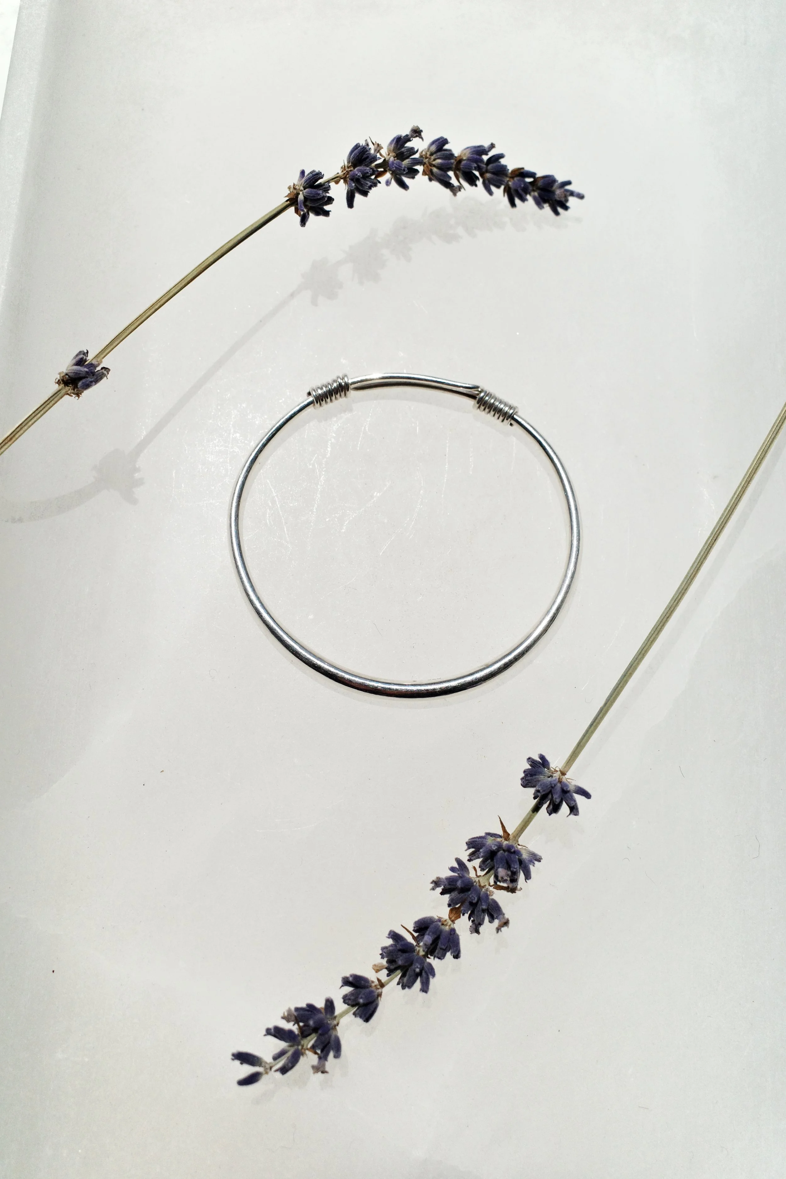 Photo Apr 15 2026, 15 35 28.jpg