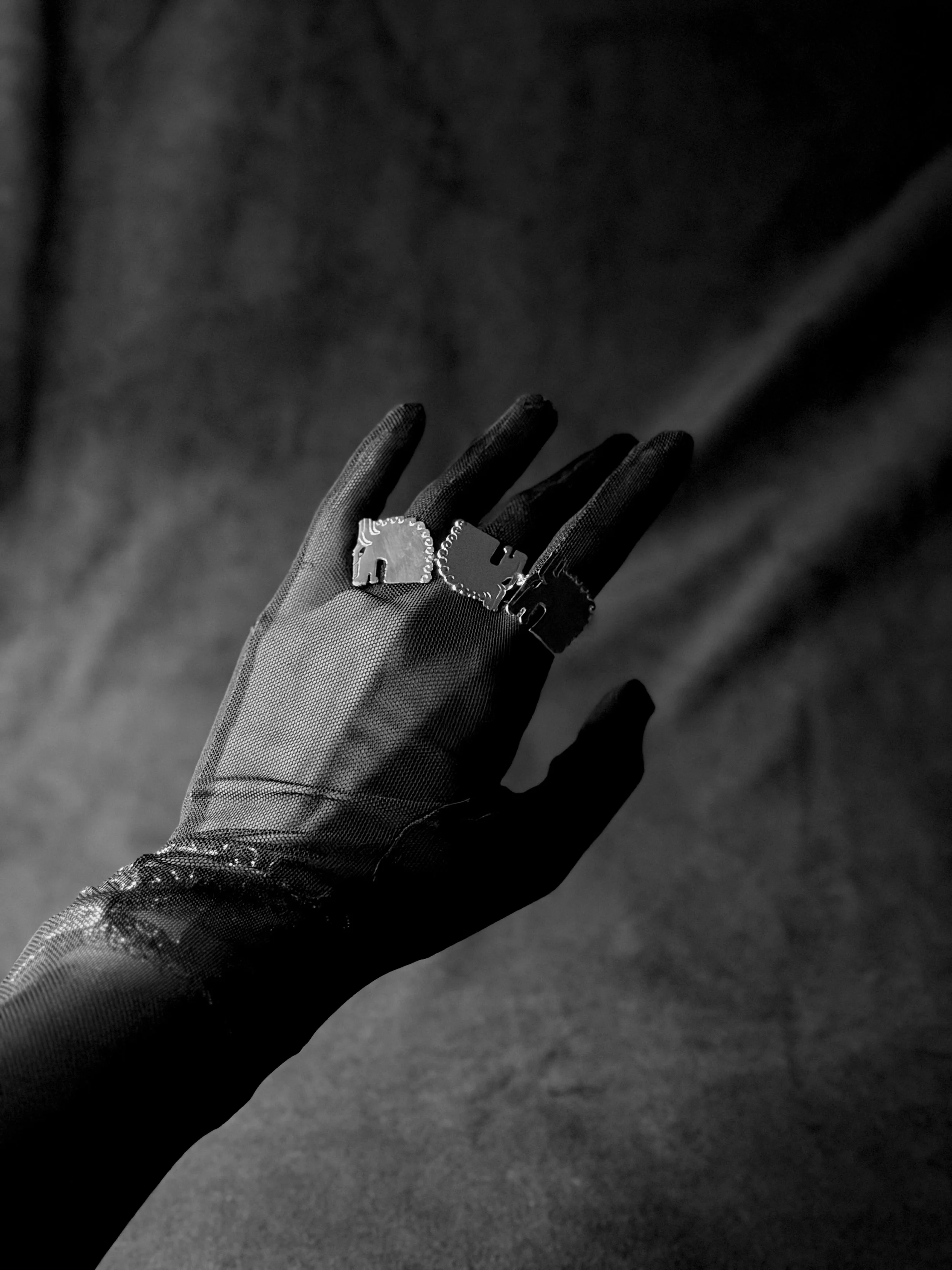 Photo Nov 26 2025, 15 56 15.jpg