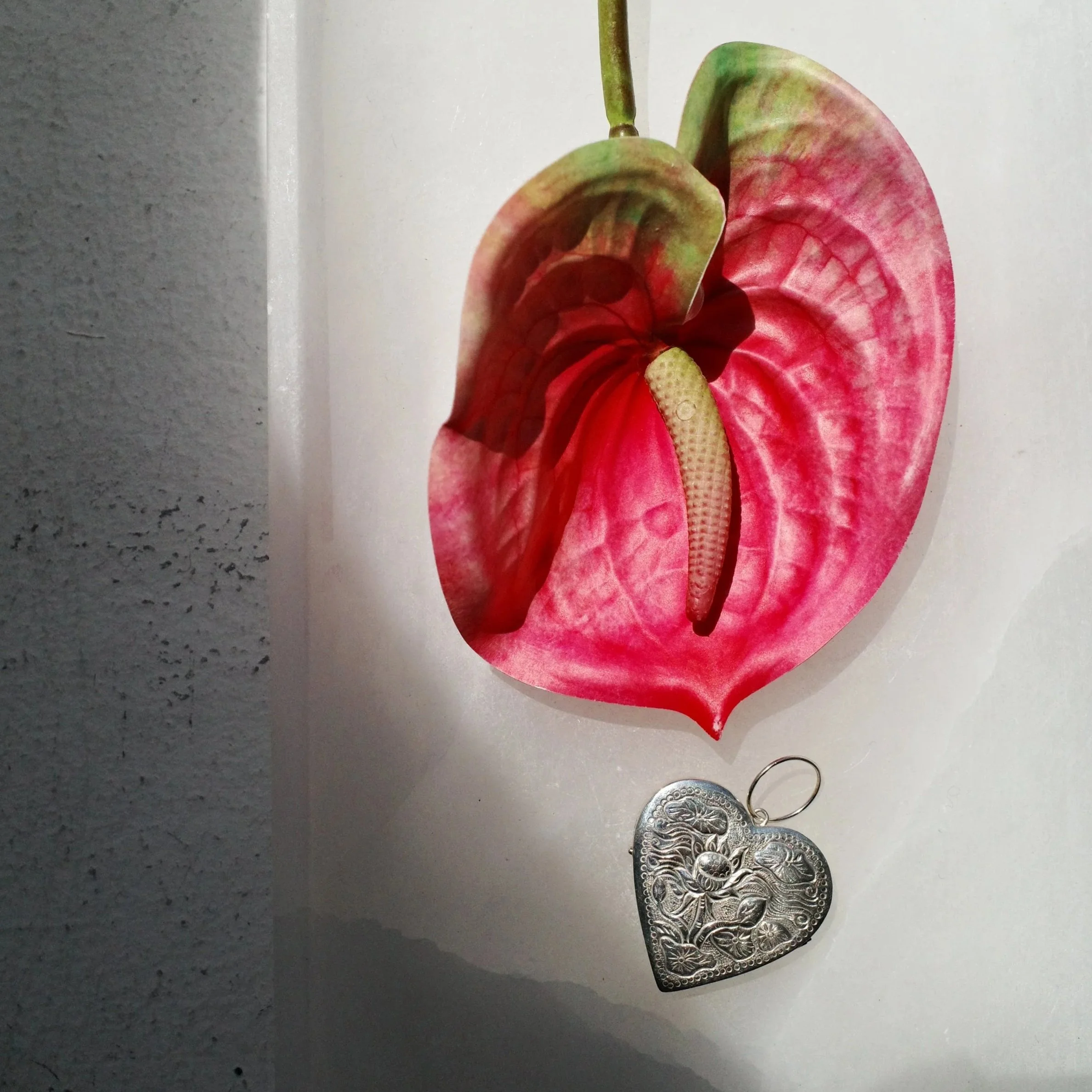 "A LESSON OF KINDNESS" Locket