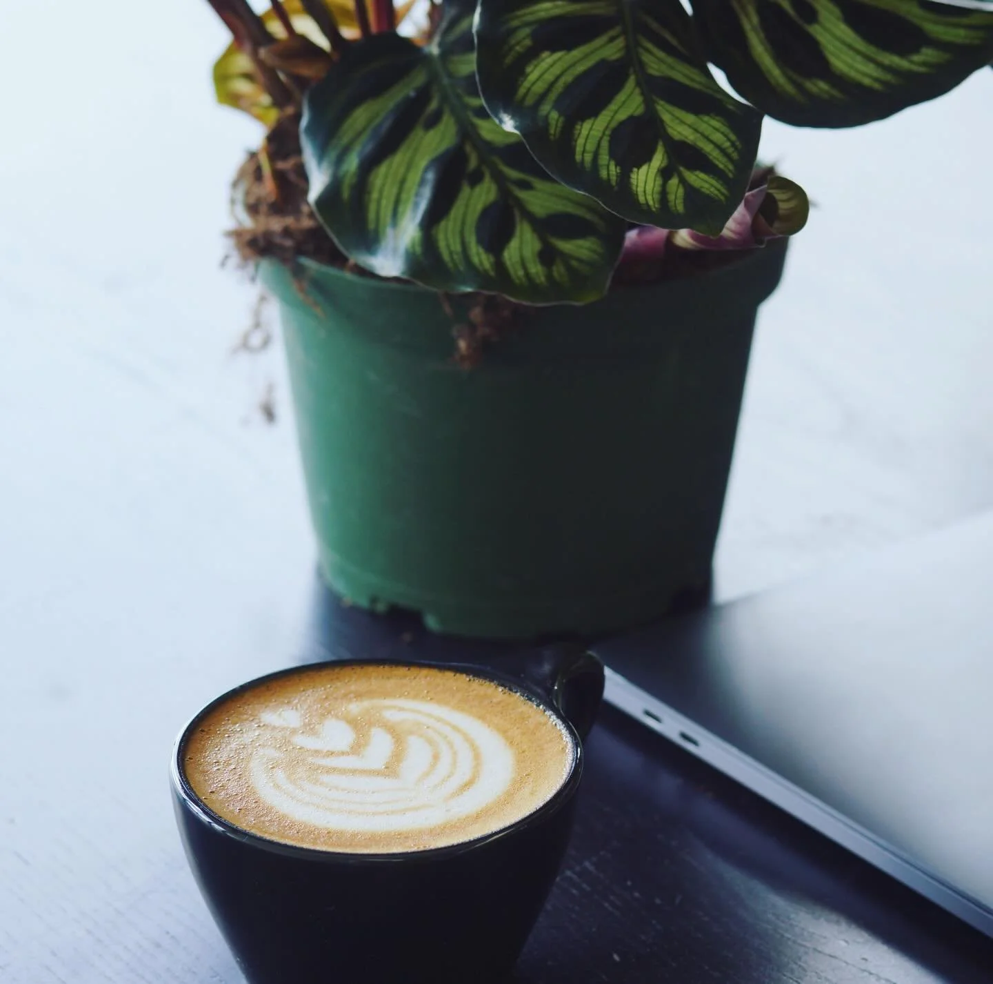 What do you while enjoying coffee at your coffeehouse? #coffee #coffeehouse