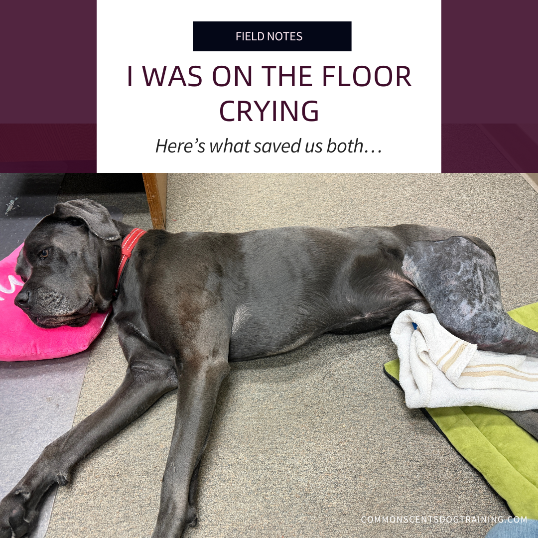 I Was on the Floor Crying. Here’s What Saved Us Both.