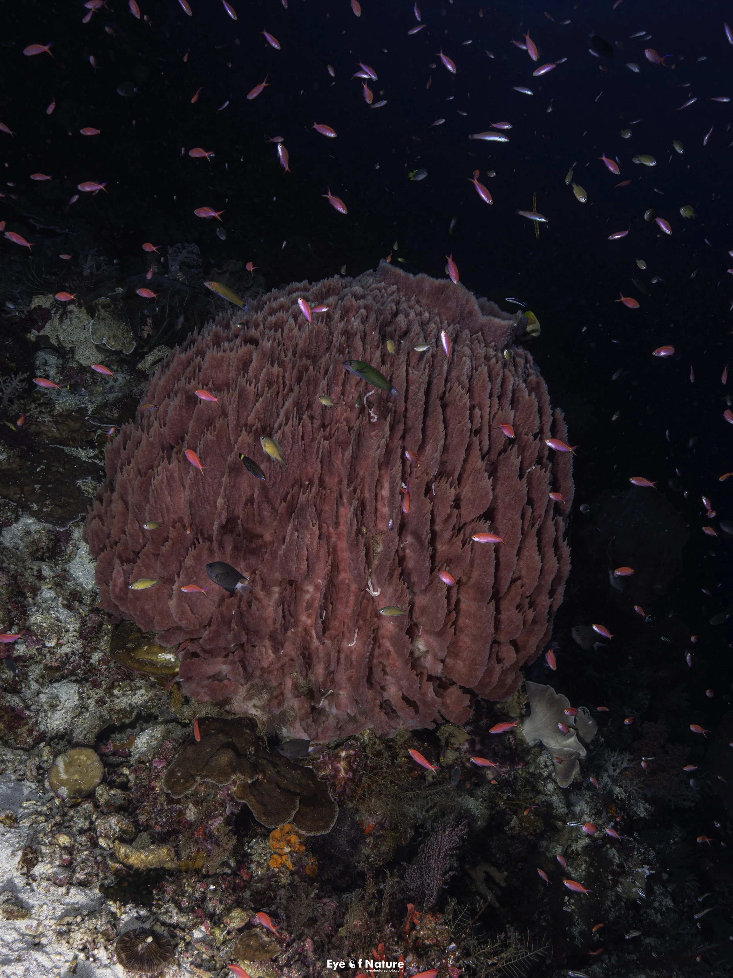 P1388654.jpg