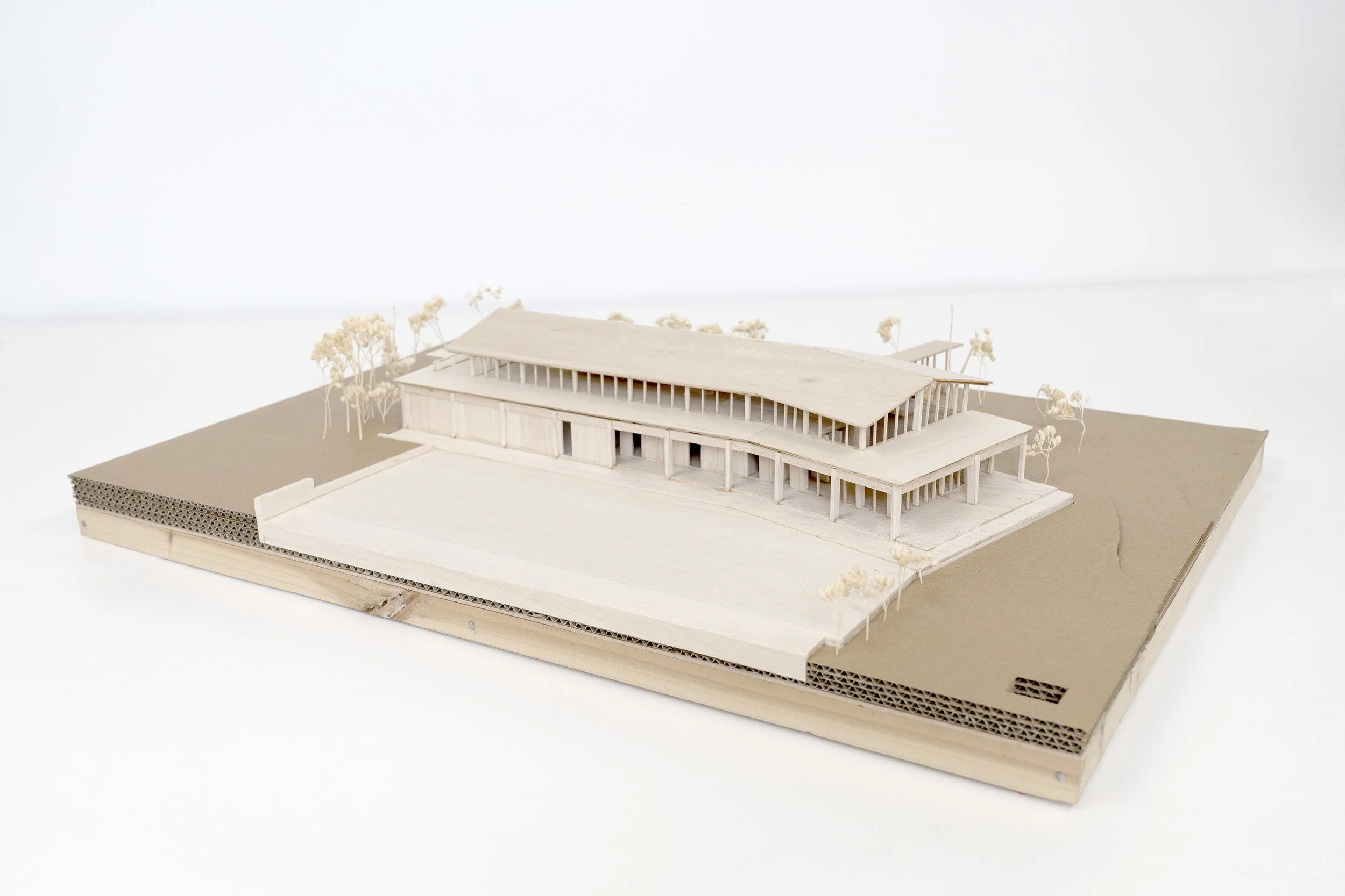 Echoland — site context