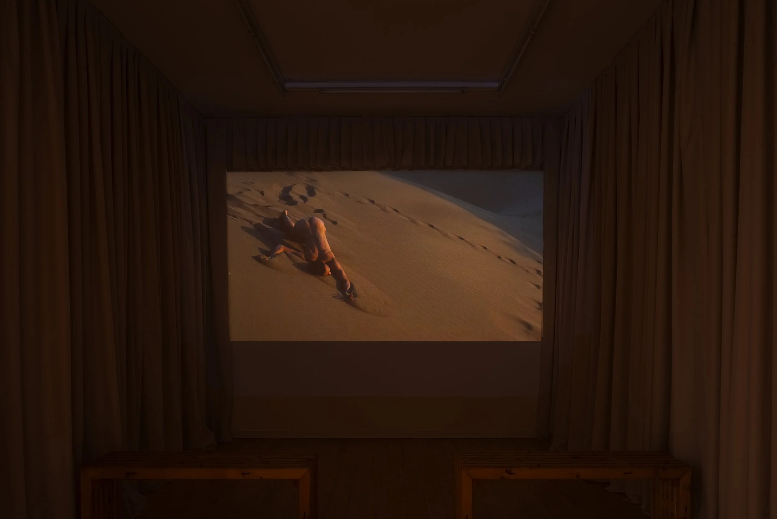 Karim Boumjimar_Birds of Paradise_Viborg Kunsthal_2026_photo Jacob Friis-Holm Nielsen_JFH4339_sRGB_web.jpg