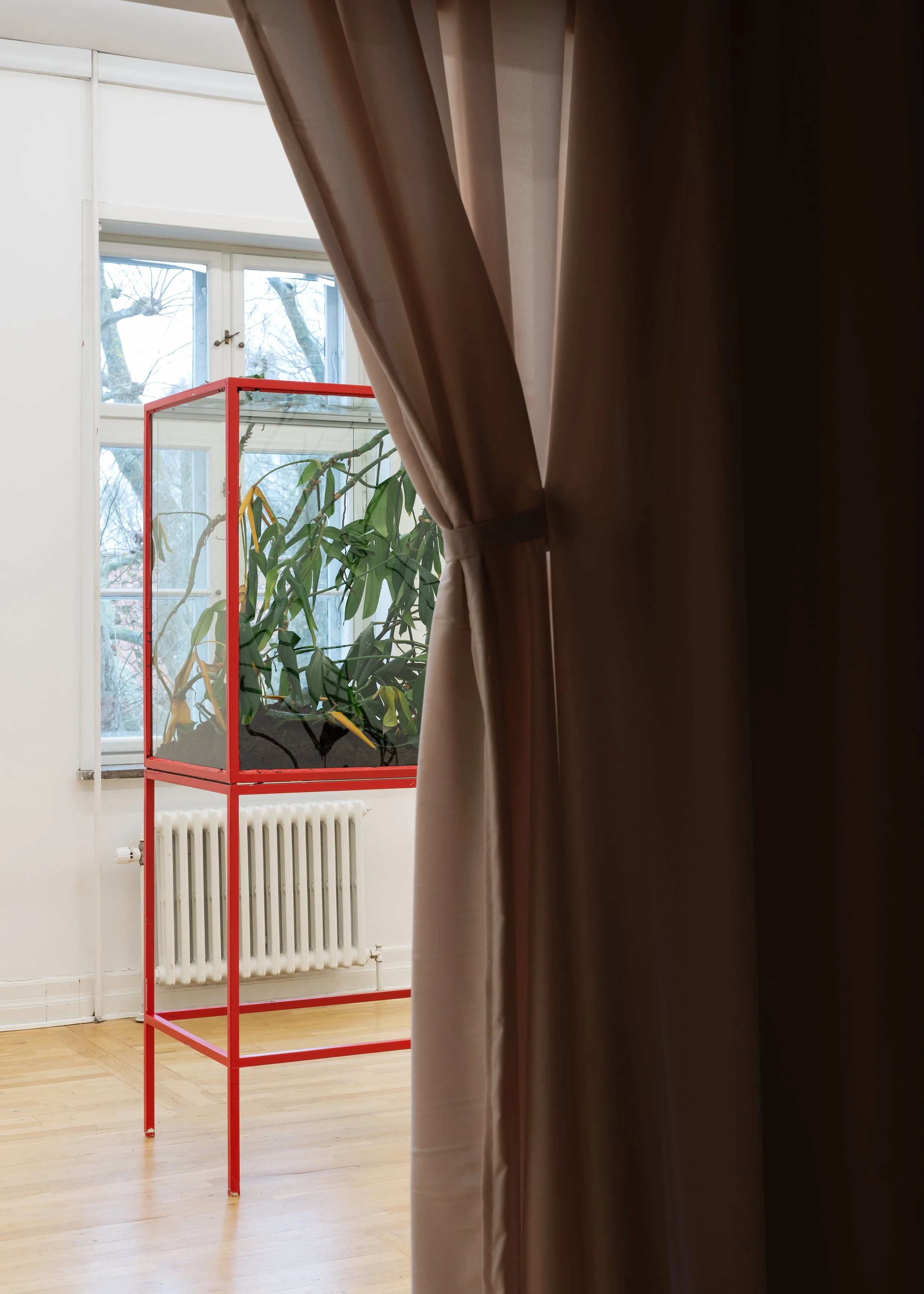 Karim Boumjimar_Birds of Paradise_Viborg Kunsthal_2026_photo Jacob Friis-Holm Nielsen_JFH4352_sRGB_web.jpg