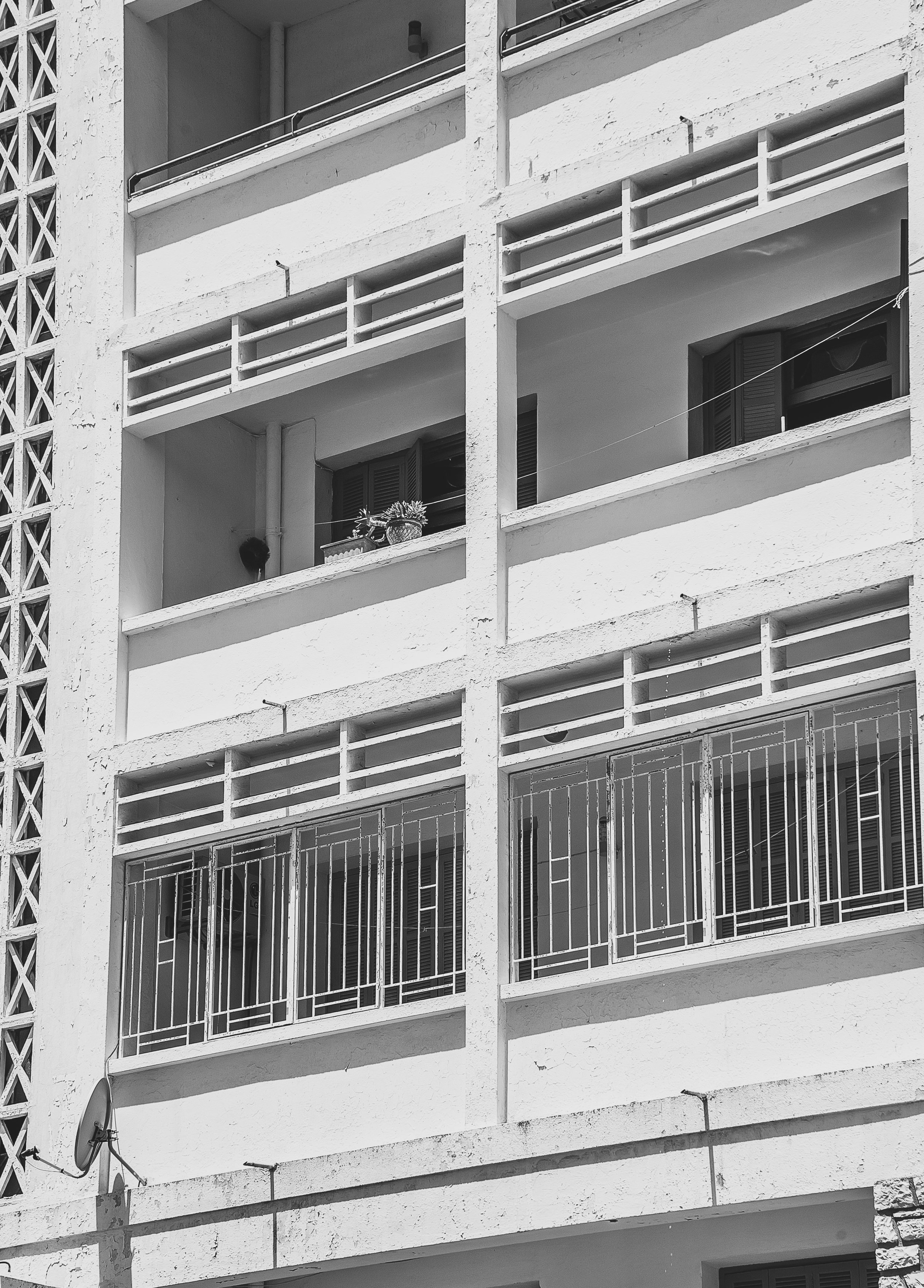 © Salma Gharbi