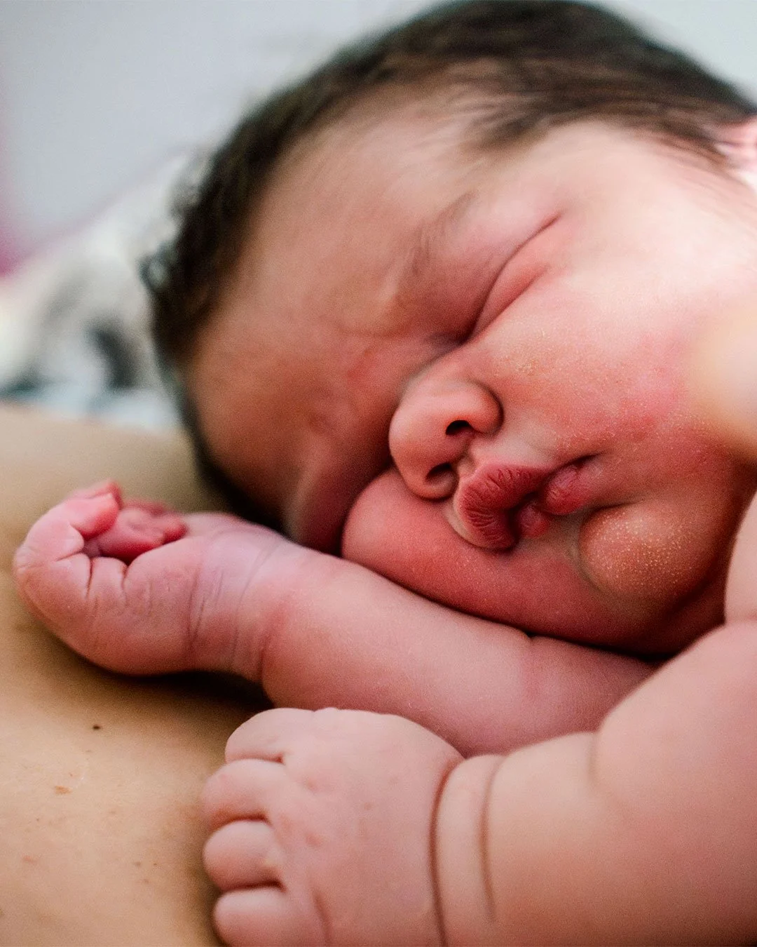 ❄Janvier 2025 a &eacute;t&eacute; un mois riche en naissances pour moi, avec trois b&eacute;b&eacute;s arriv&eacute;s &agrave; quelques jours d&rsquo;intervalle.
Trois naissances totalement diff&eacute;rentes, toutes magiques, et ces premi&egrave;res