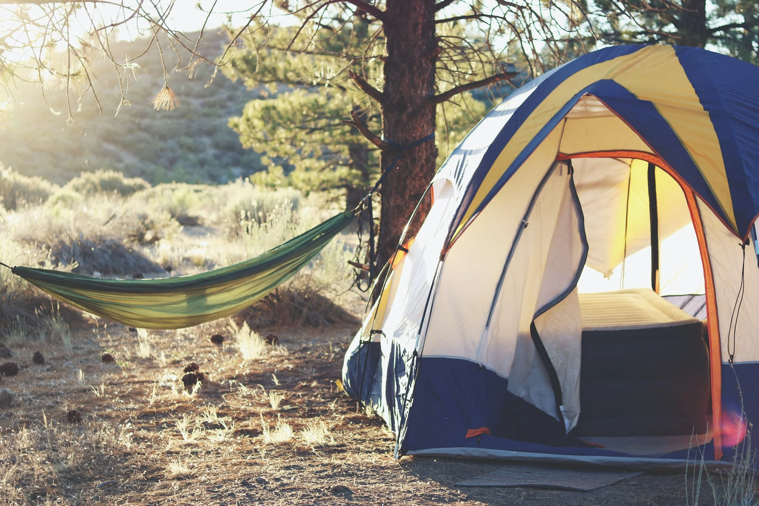 Tent and hammock in nature at sunrise