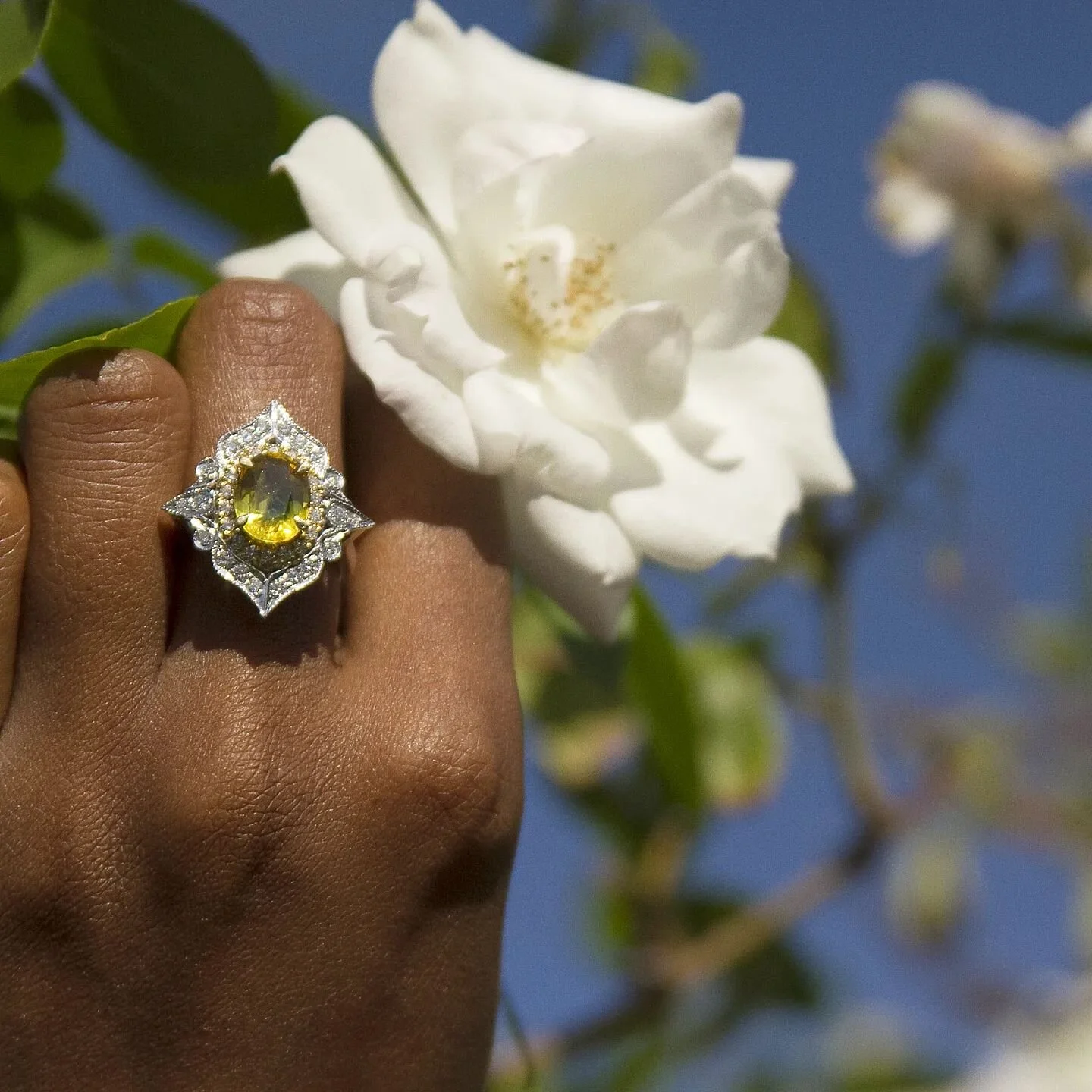 For anyone wondering what the custom ring process is like its simple. Direct message or email the fardell collection with your ideas, inspiration and budget and we can work together to come up with the perfect design. I can source the perfect stones 