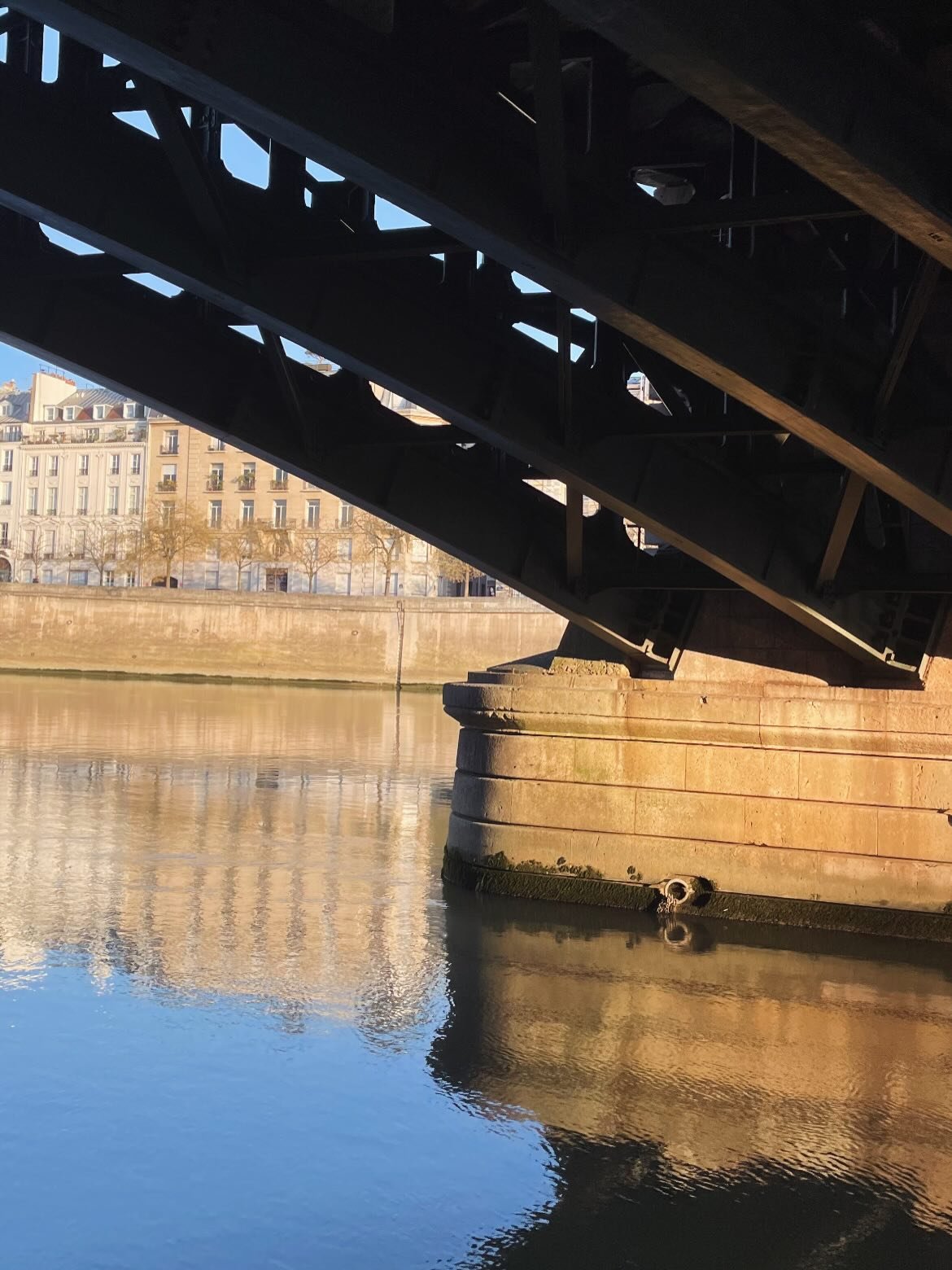 We were gifted some stunning winter days to end the year. May the transition to the new year be gentle and perspectives for the coming one, uplifting.