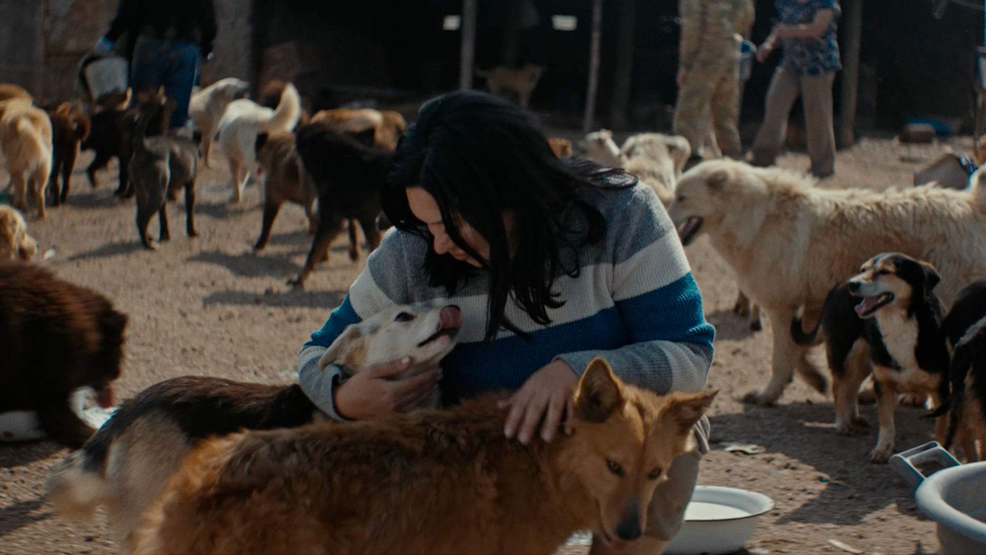 TBC - orzular bilan borsiz