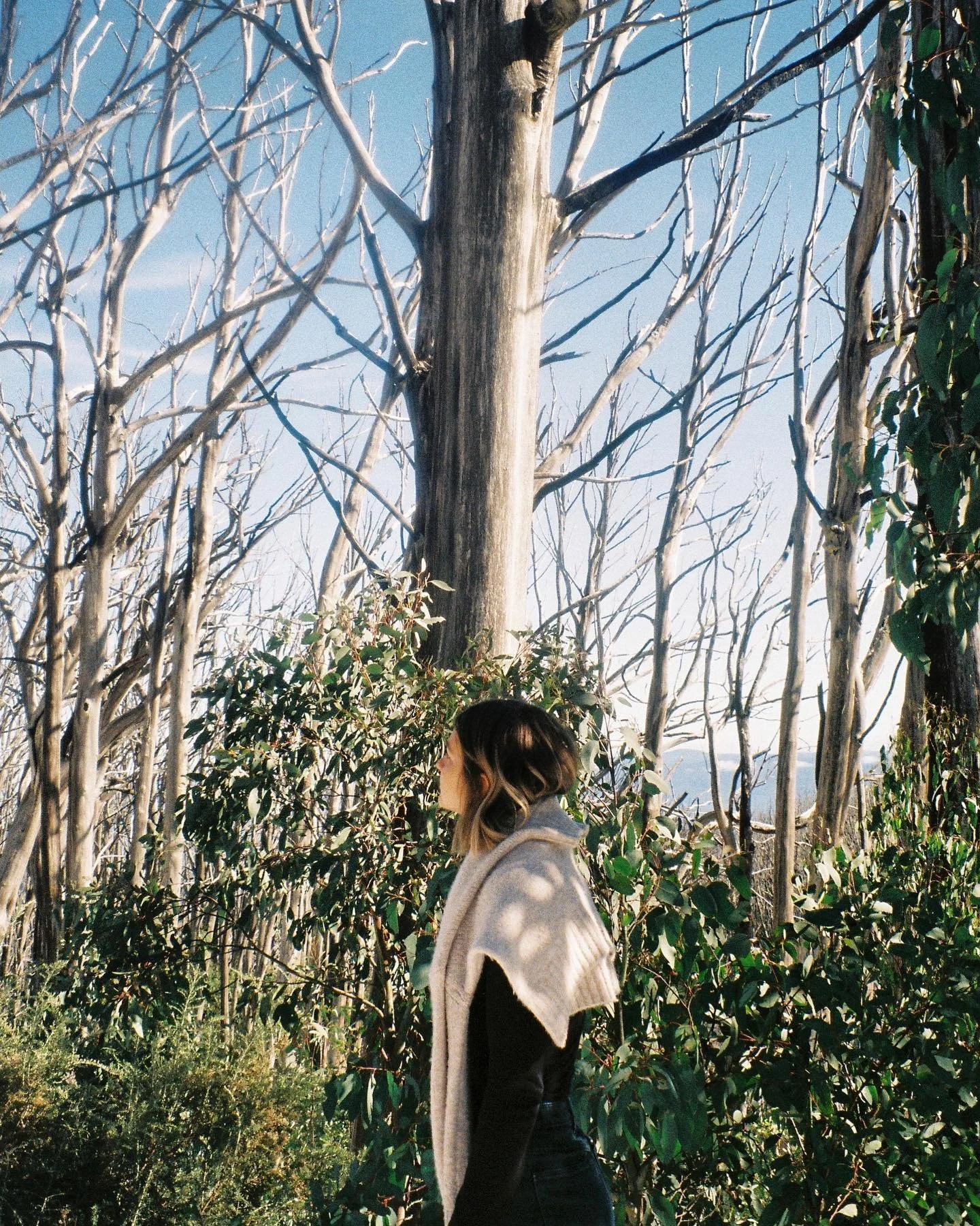 67879899_2454598838117706_2512616926515058209_n (1).jpg