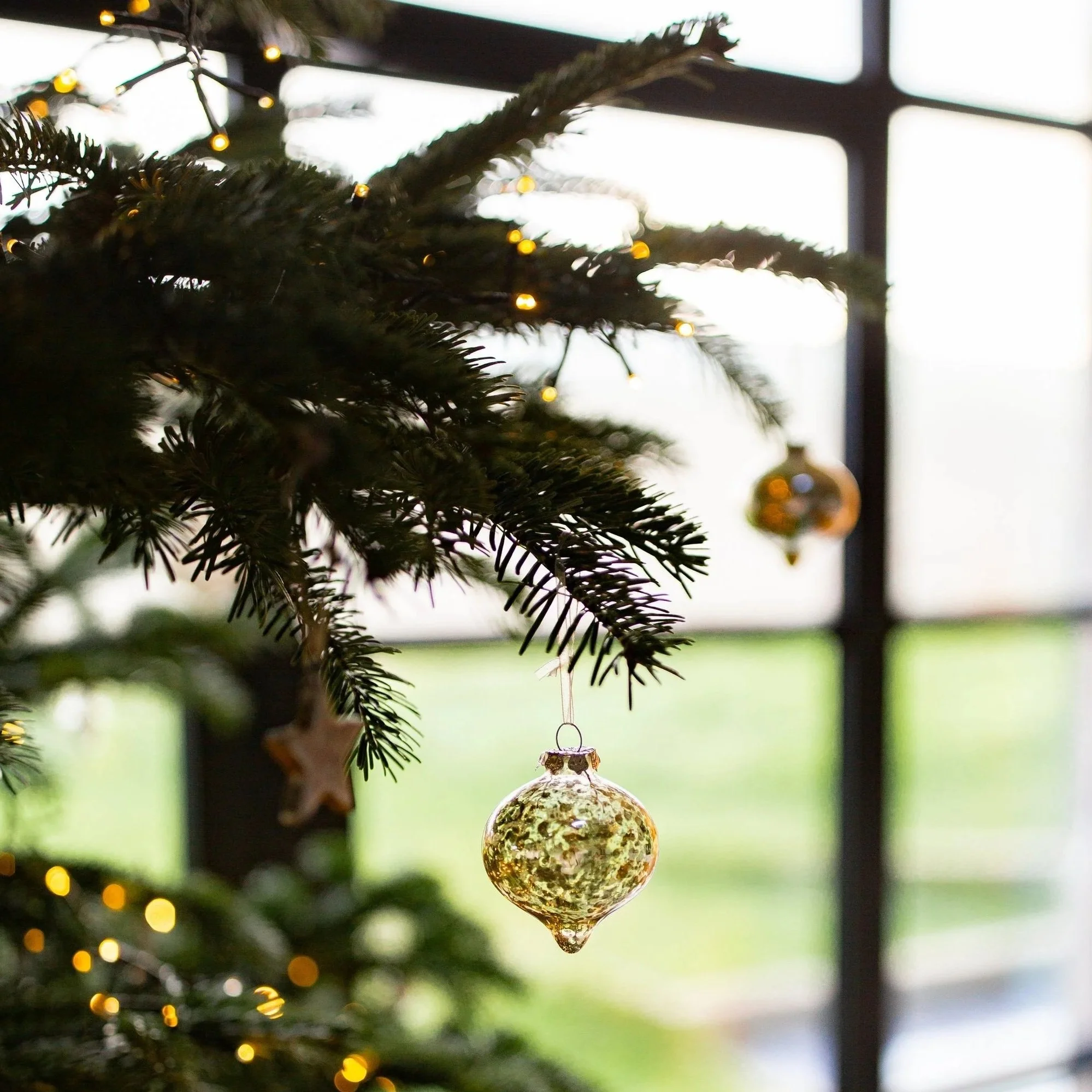 The best festive events in Sussex - What to do and see this Christmas