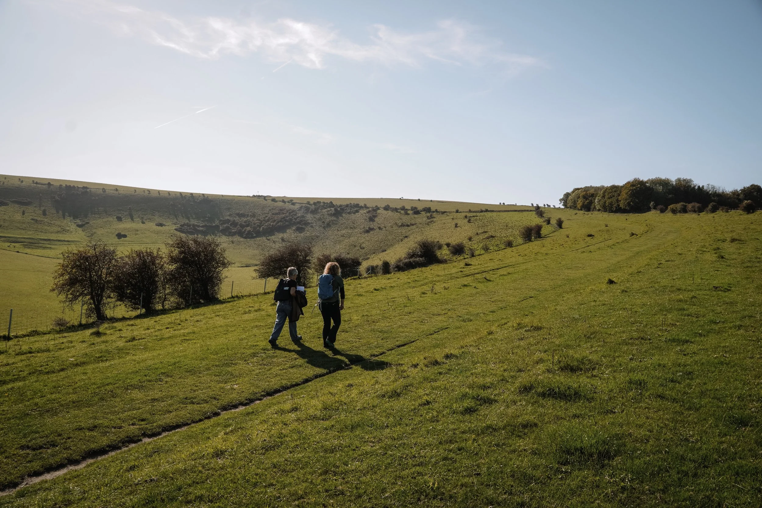Walking Holidays in the South Downs: The Ultimate Guide to Routes, Stays &amp; Scenery