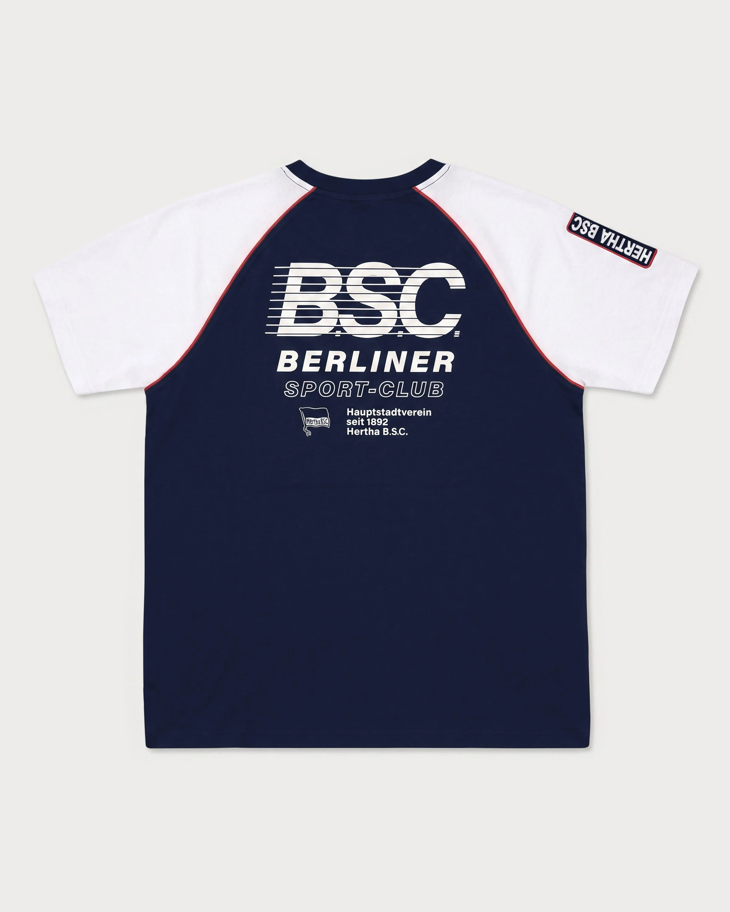 101_racing-collection_t-shirt_boxy_t-shirt-raglan_back.jpg