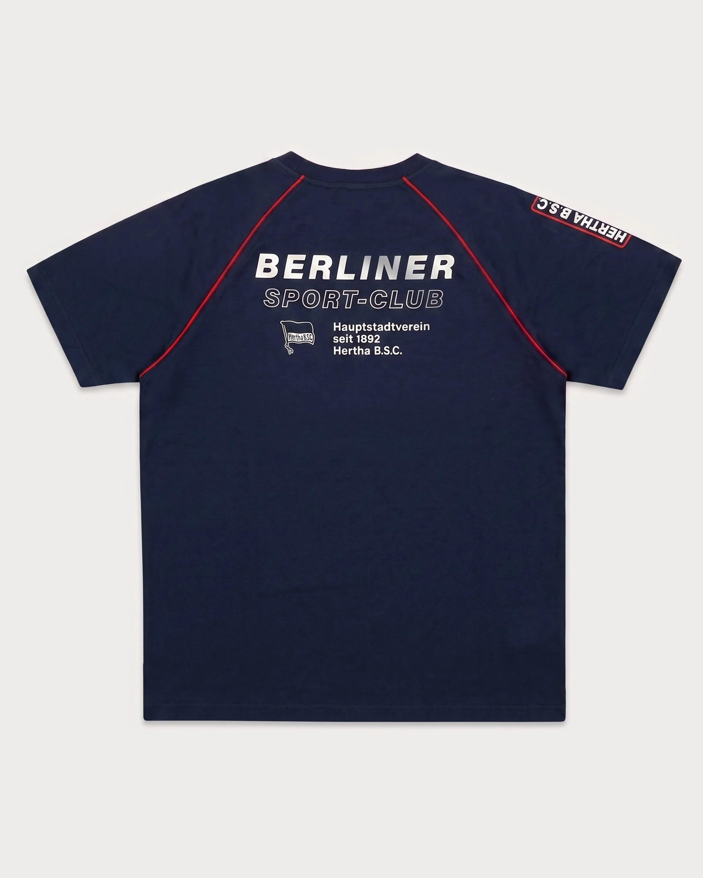 101_racing-collection_t-shirt_boxy_t-shirt-raglan-2_back.jpg