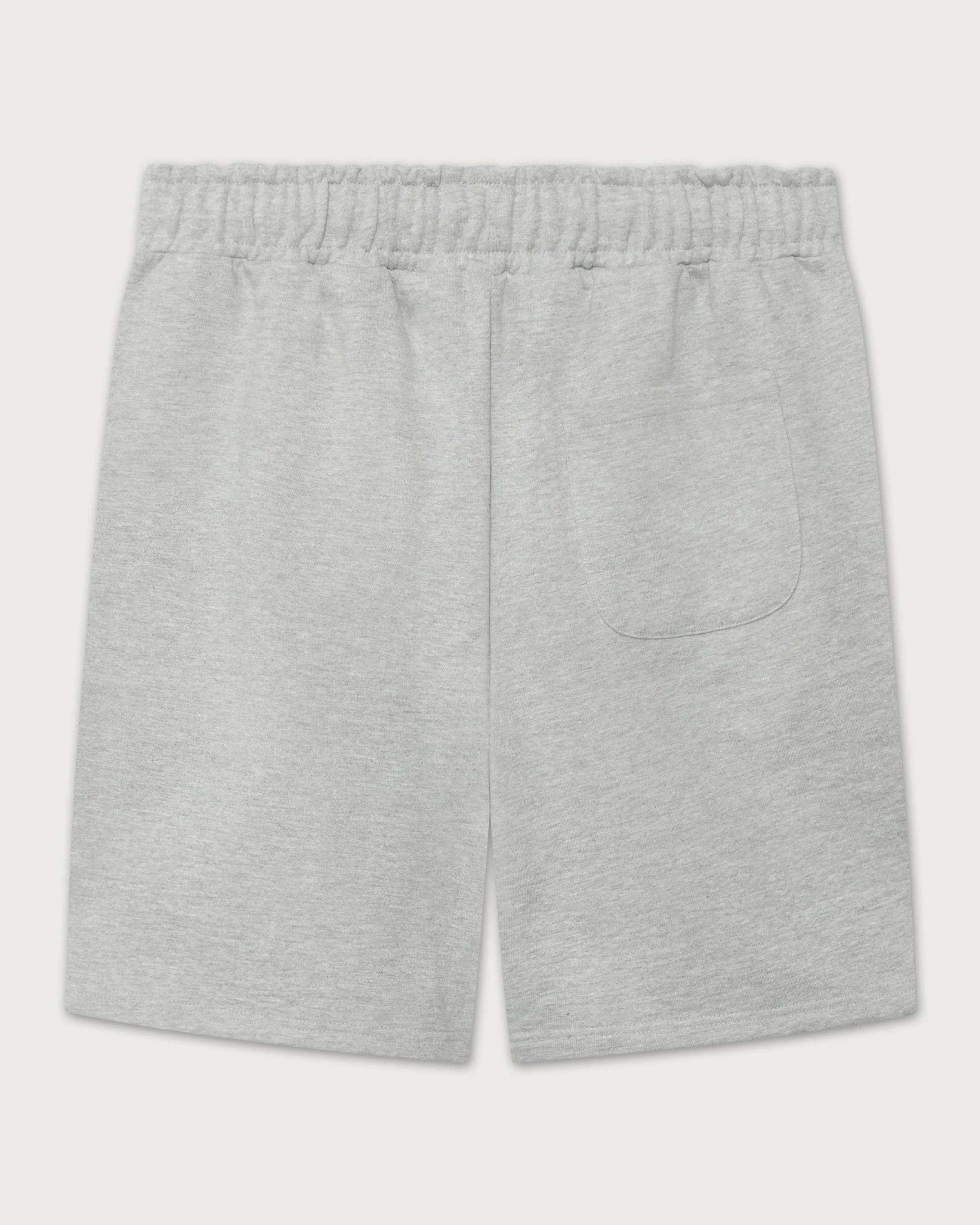 101_C26_Cloud_Essentials_Shorts_gray_b.jpg