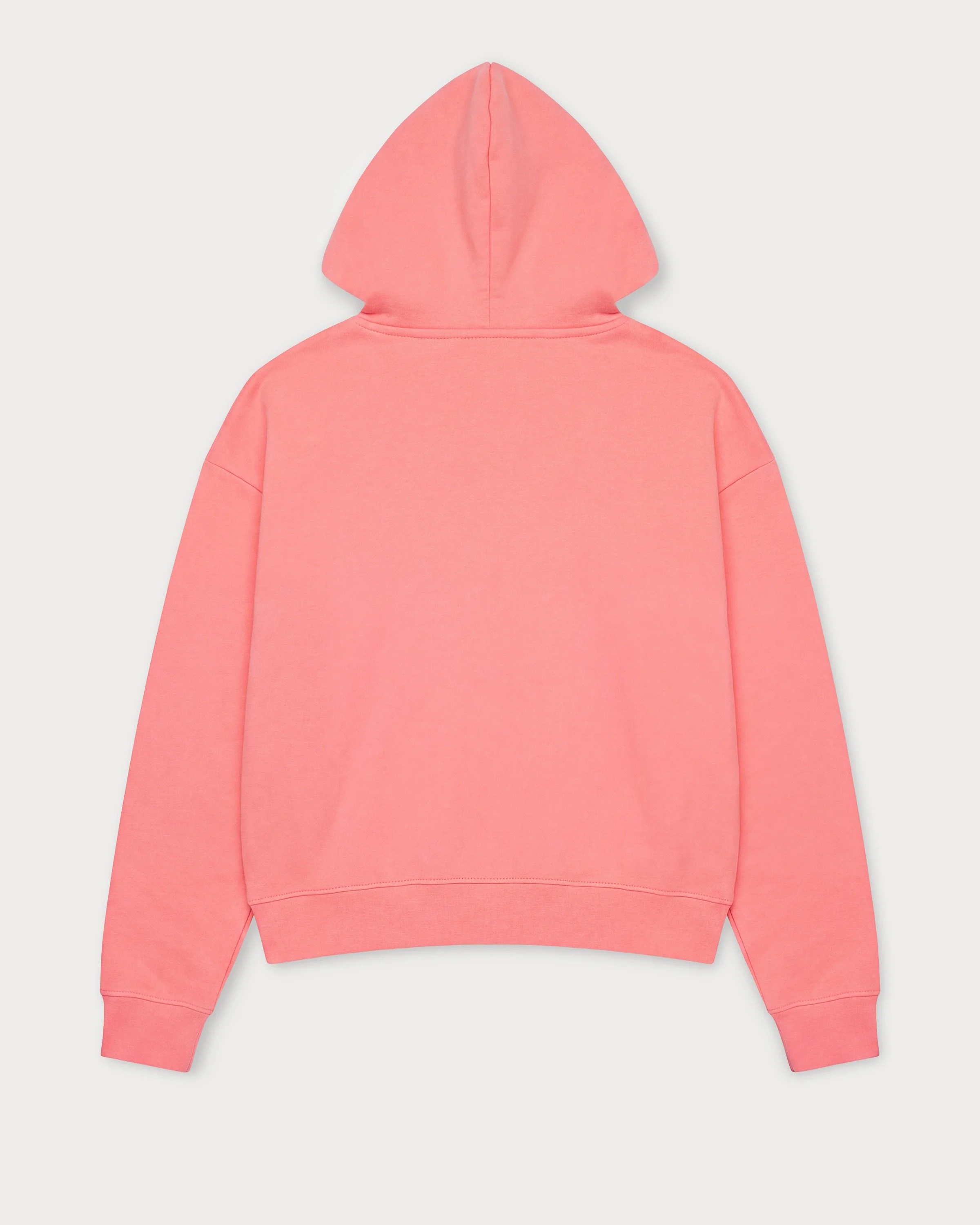 101_beyond-pitch-collection_cropped-hoodie_back.jpeg