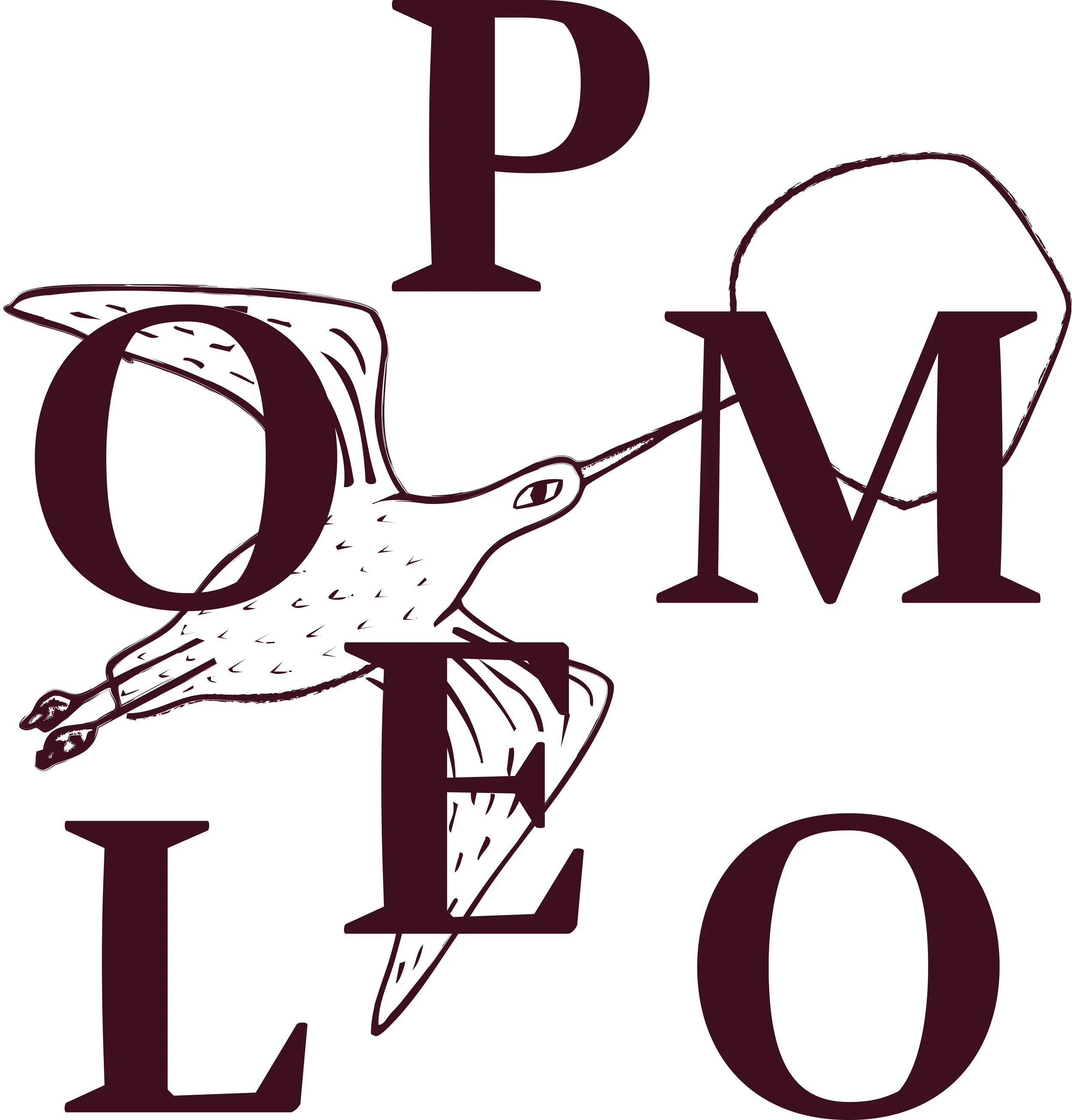 Illustration of a frog holding balloons with the letters P, O, M, L, E, and L arranged around it, spelling the word "POMELO."