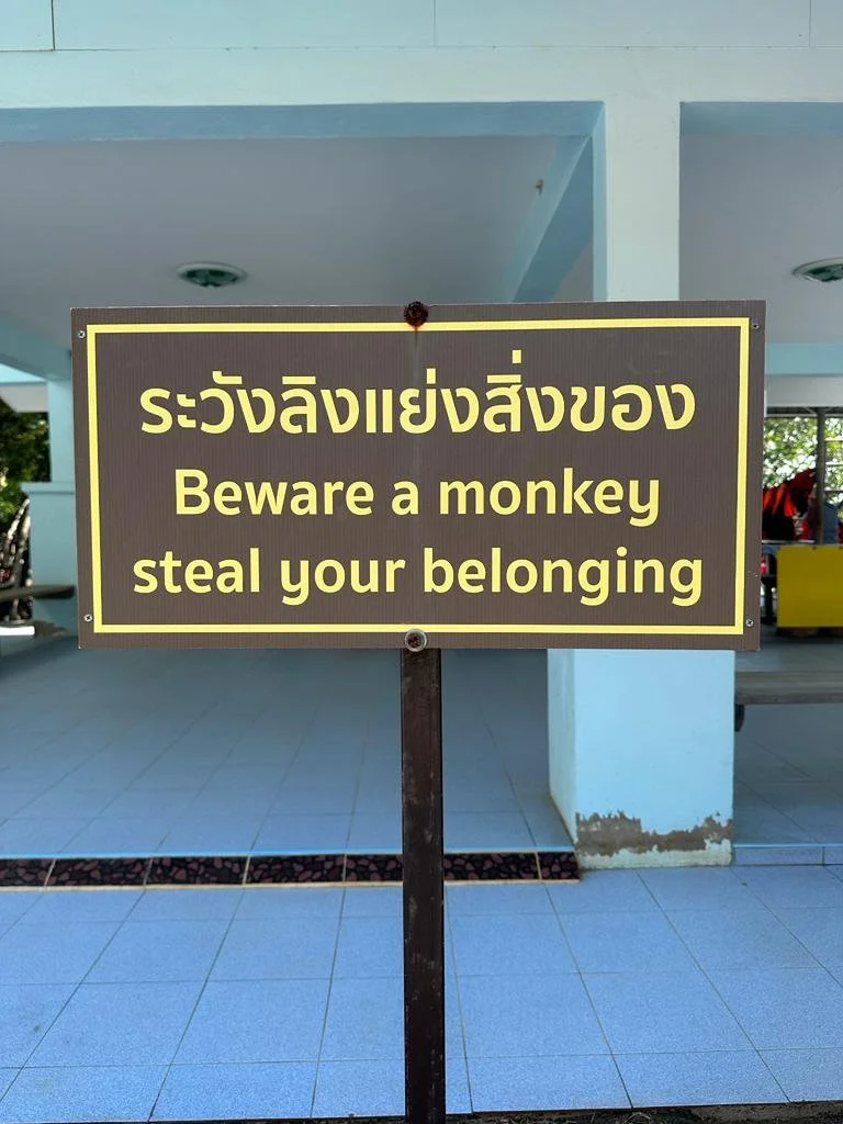 “Beware a monkey steal your belonging”