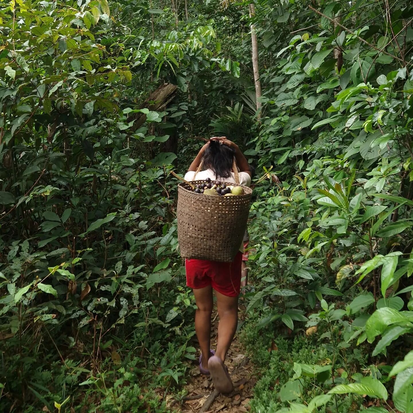 8 DAY AMAZON TREKKING IN COLOMBIA

It seems impossible to describe the past few days in one post.

From a small private plain flying over the jungle, to meeting traditional communities and people that have never been in a place with more than 5000 pe