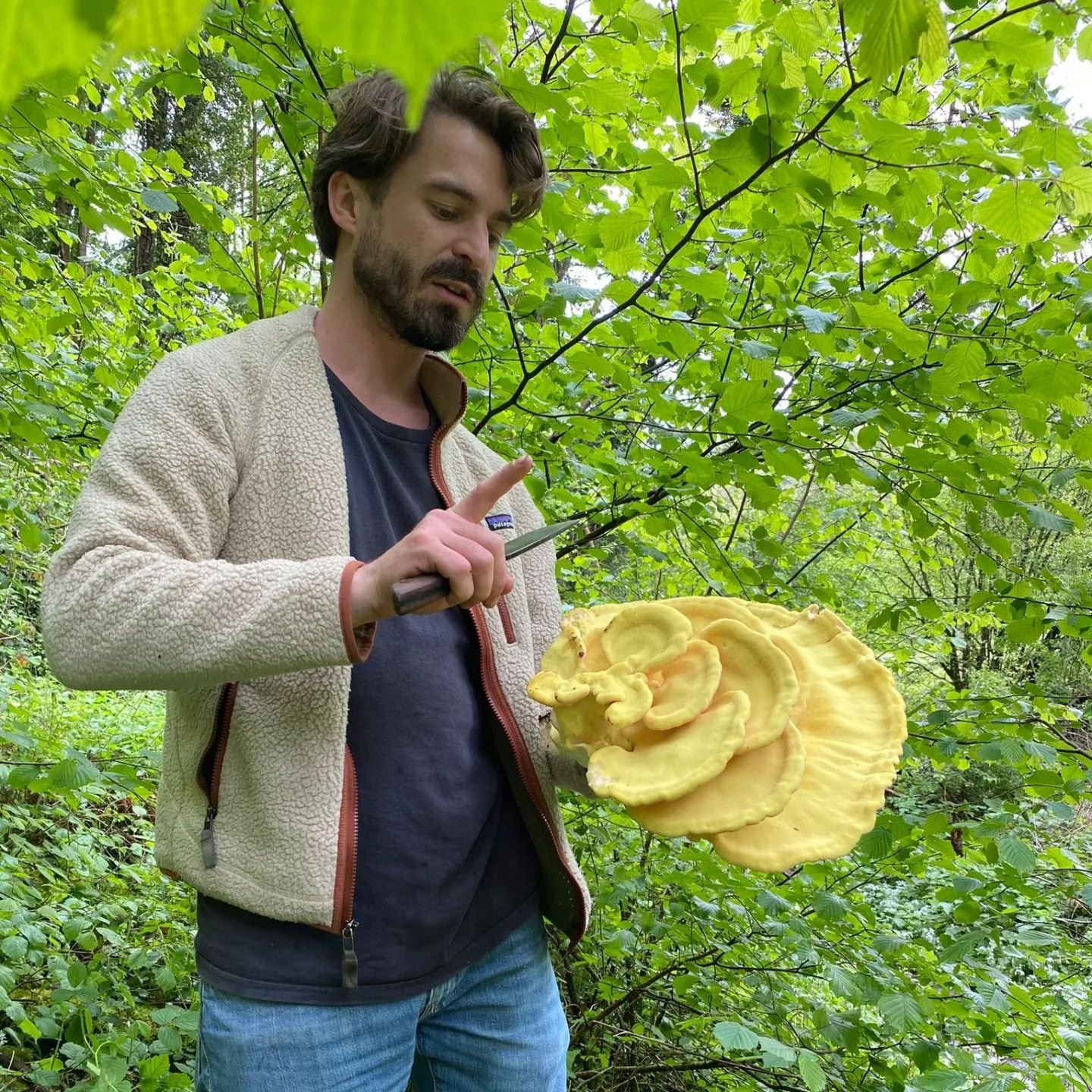 Incredible wildchefs experience!

Being blessed with wild mushrooms like wood ears and chicken of the woods, we could not have been more lucky. 

10 chefs got to play with the best spring plants and mushrooms possible during our 2 day wildchefs cours