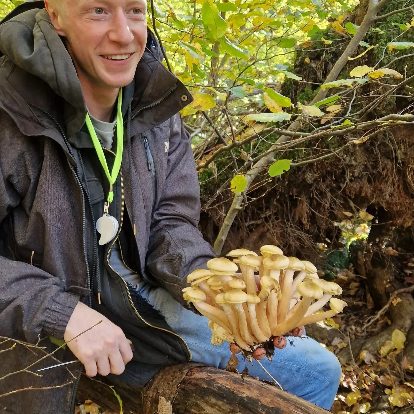 4 daagse paddenstoelen cursus was heerlijk! Bedankt om erbij te zijn 😊
