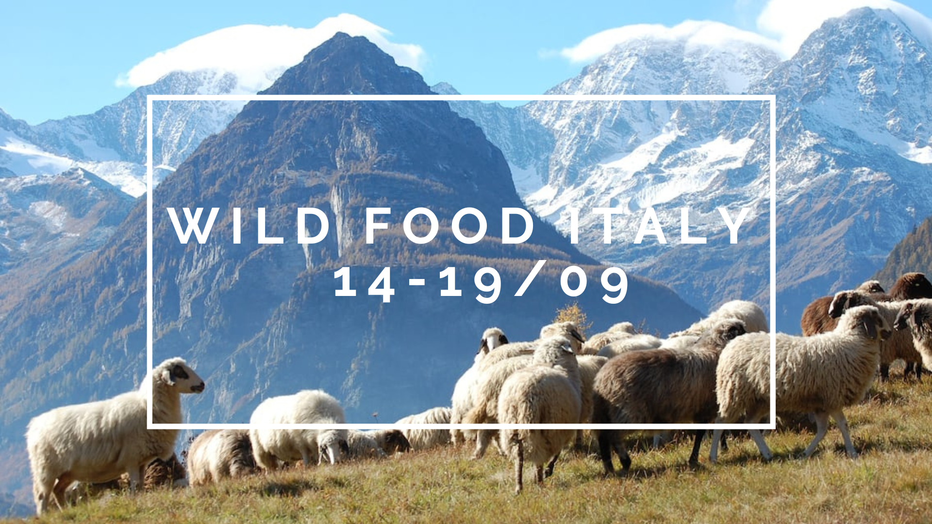 6-Day Wild Food Italian Alps