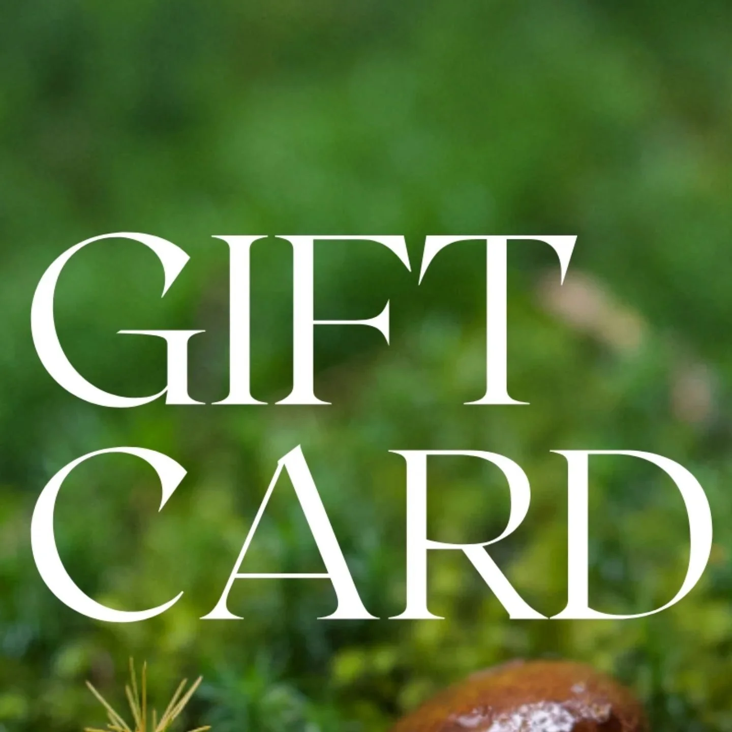 Het leukste eindejaarscadeau 😊🥰
Geef een geliefde een gift card, geldig op al onze evenementen, opleidingen &eacute;n reizen. 

Www.foresttoplate.com