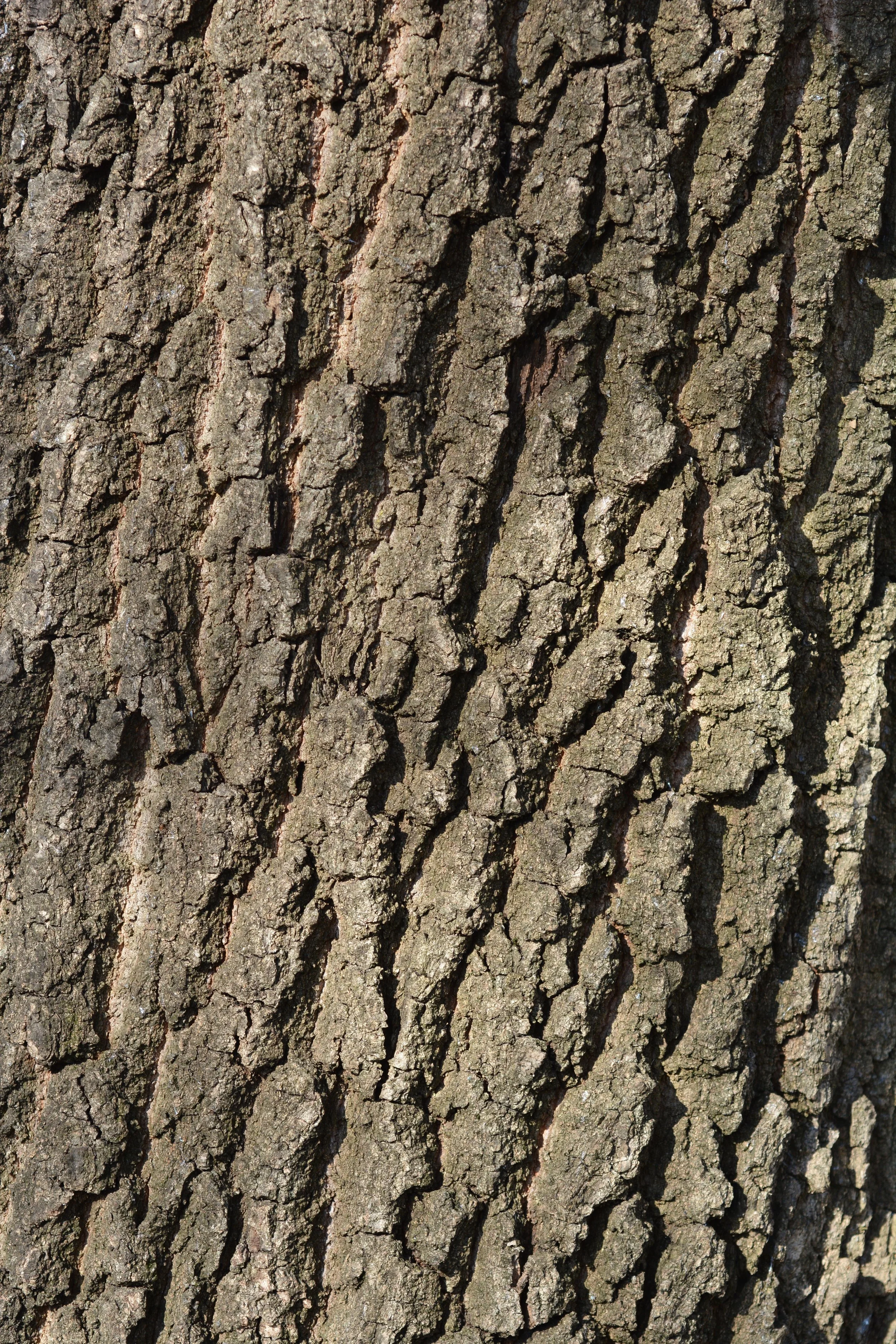 Kopie van shutterstock_2072239682 (1).jpg