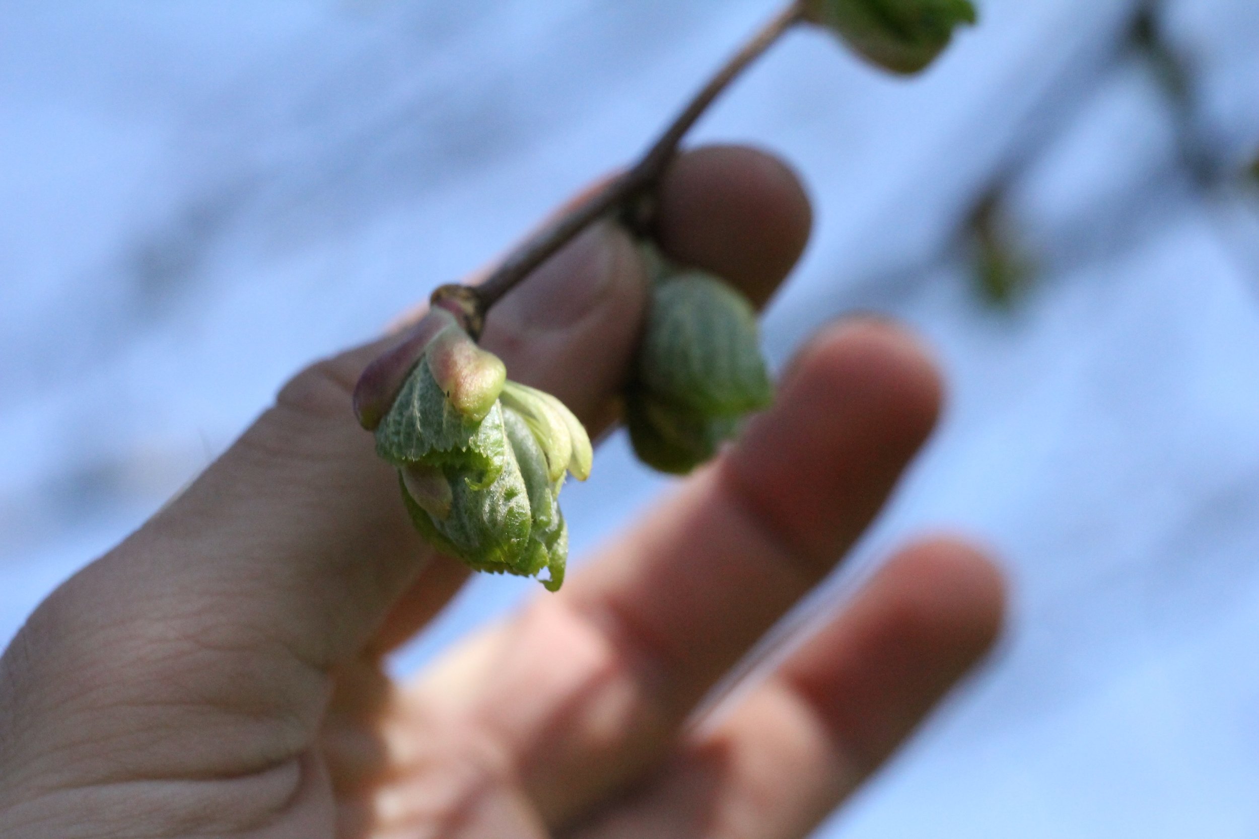 Kopie van IMG_7697.jpg