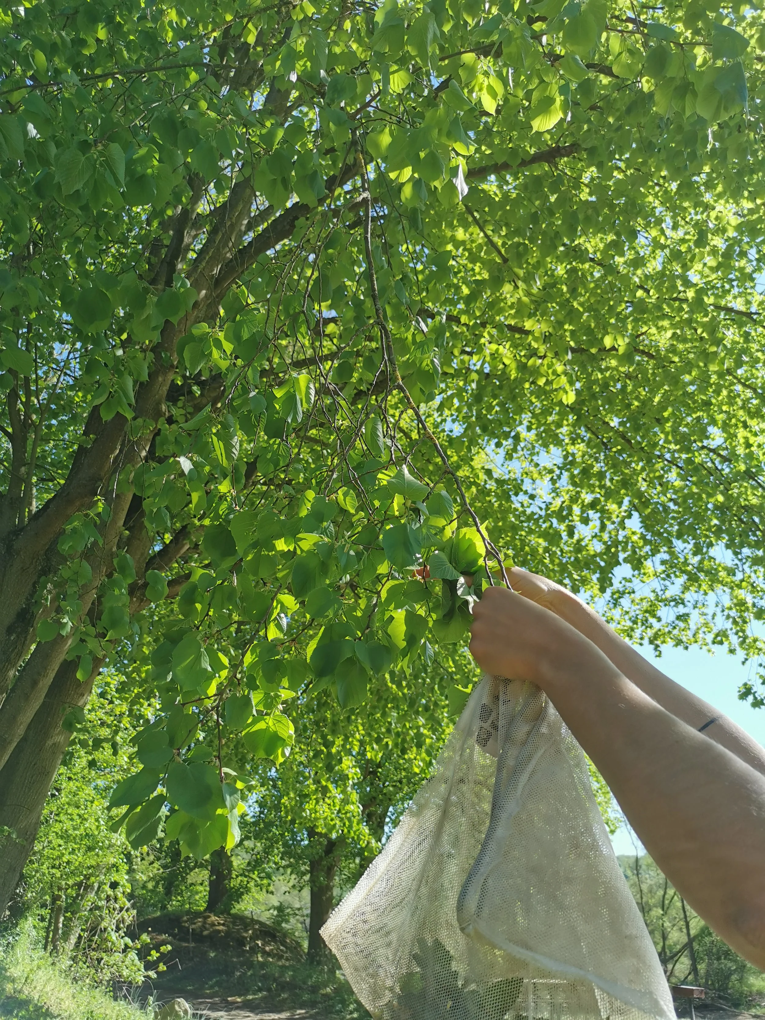 Kopie van IMG_20200422_161227.jpg