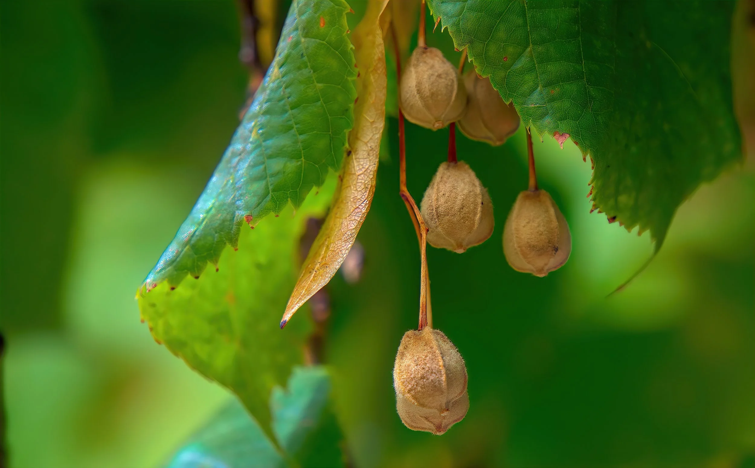 Kopie van shutterstock_1904077924 (1).jpg