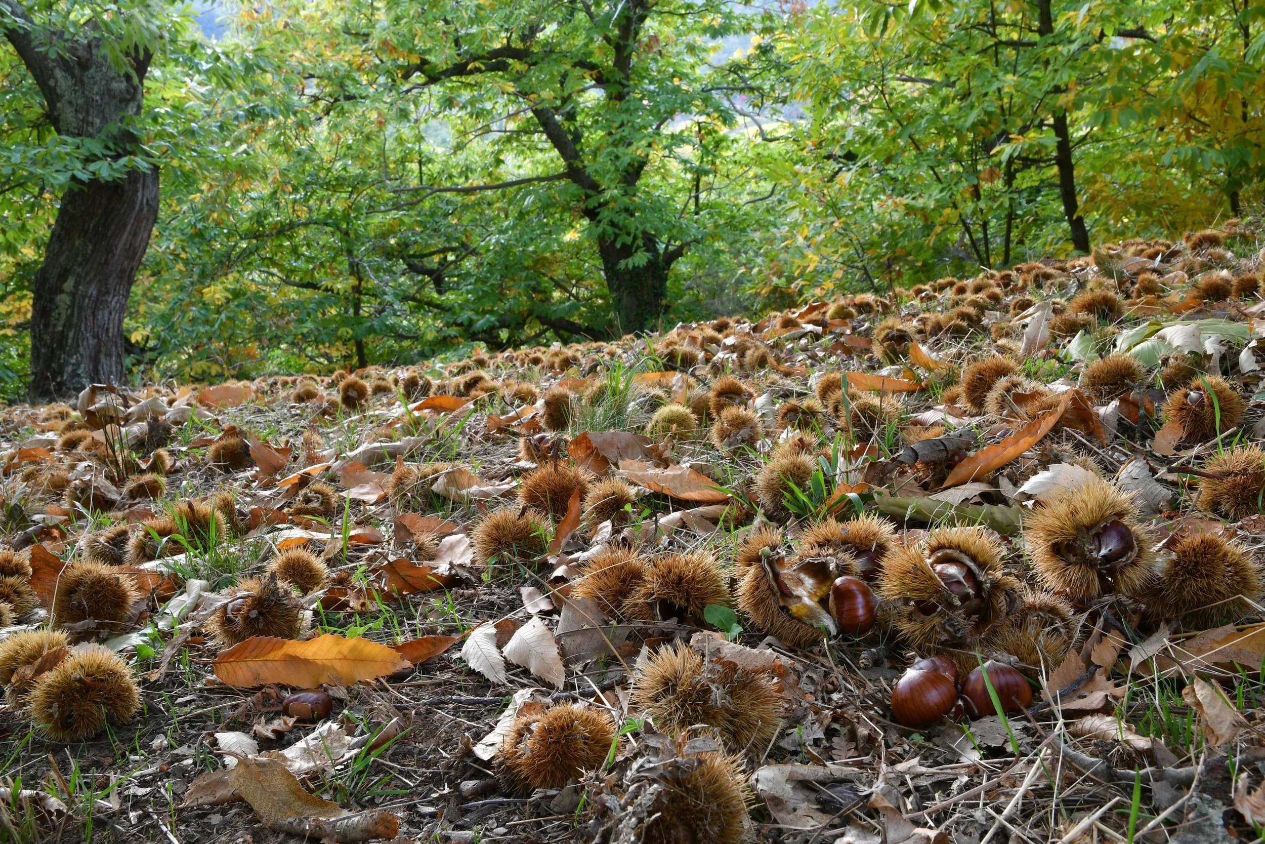 Kopie van shutterstock_2065779812.jpg