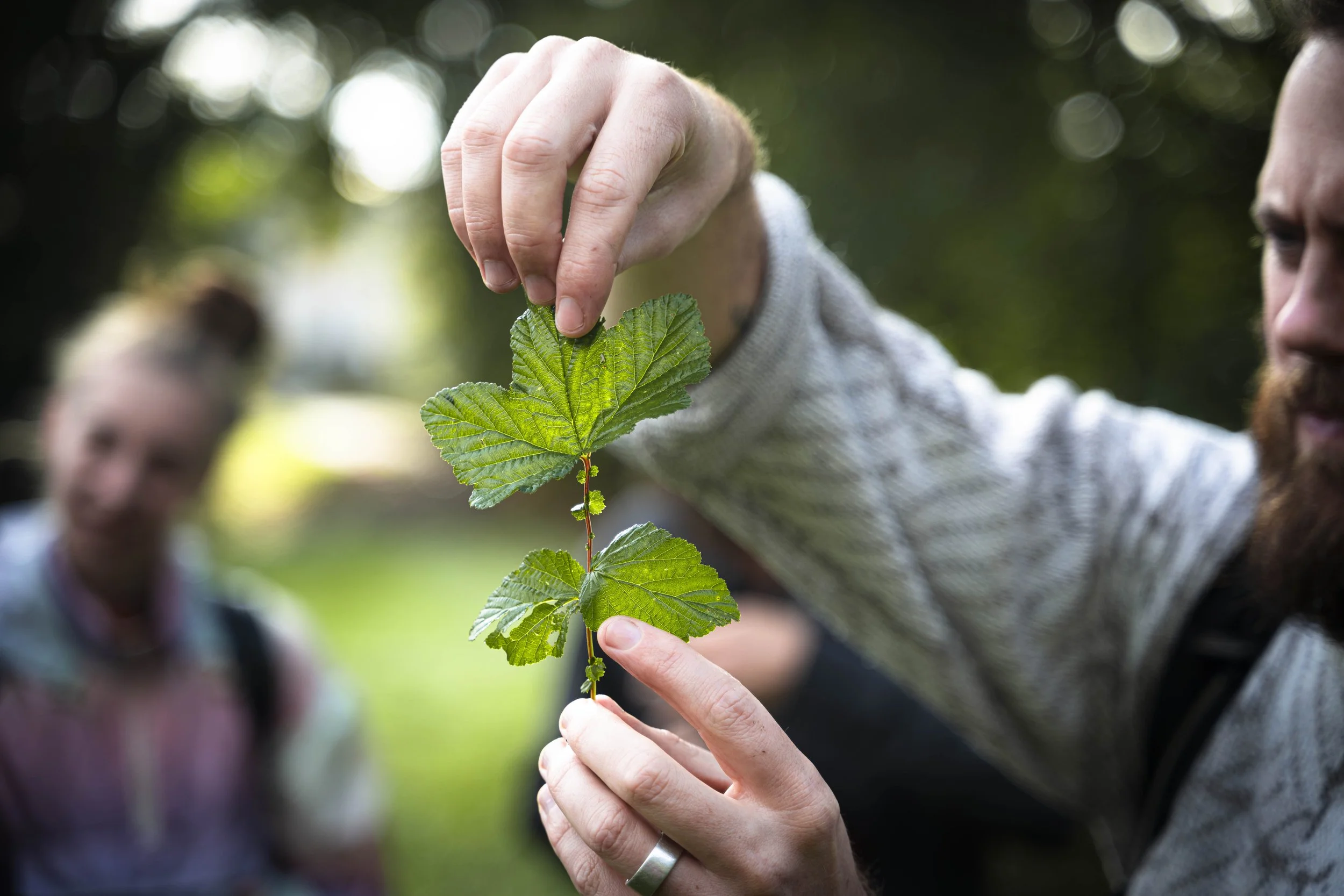Start to Wildpluk (regio Gent -  06/06/2026)